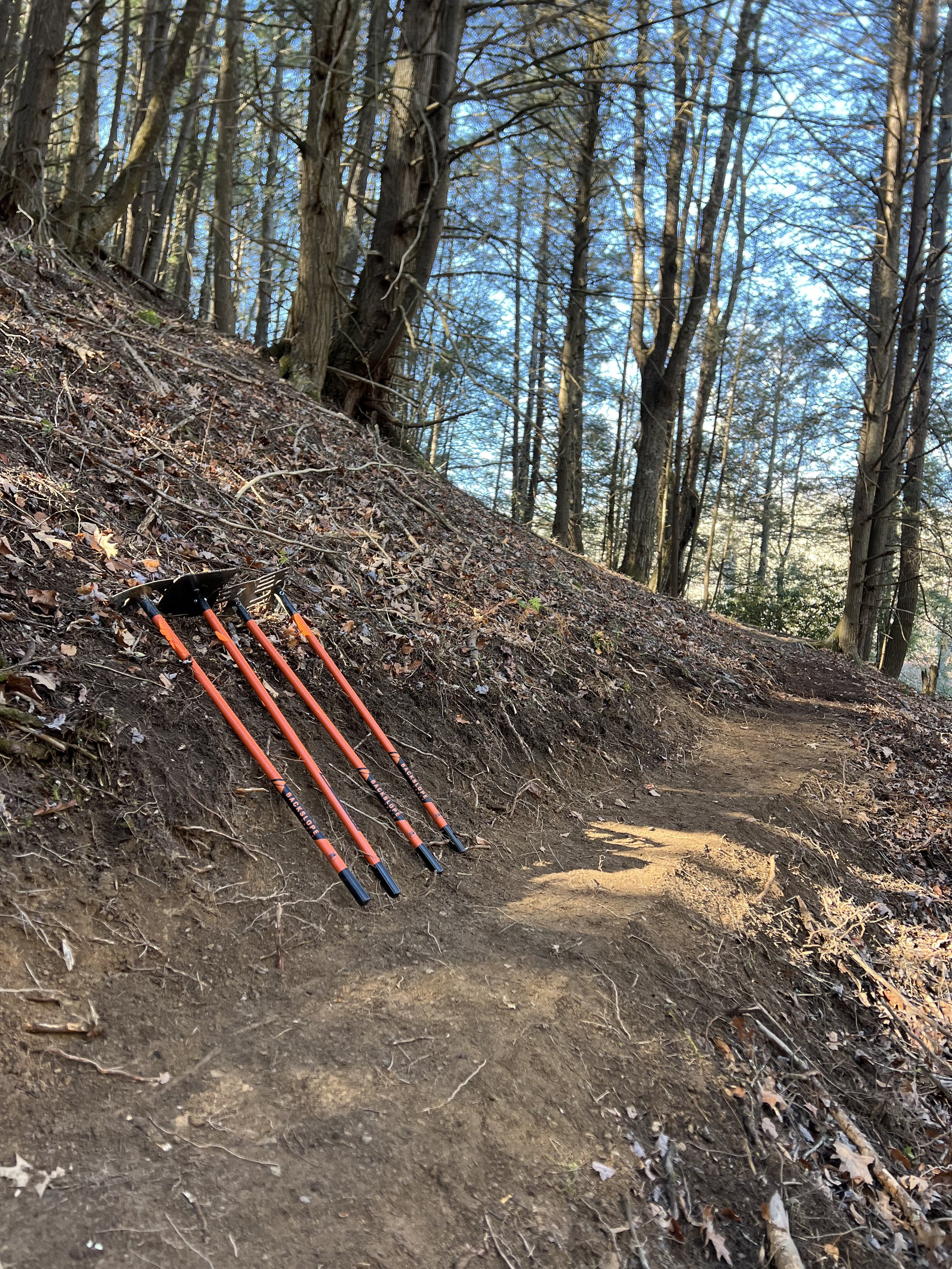 Three orange and black trekking poles leaning against a dirt trail in a forest with tall trees and bare branches.