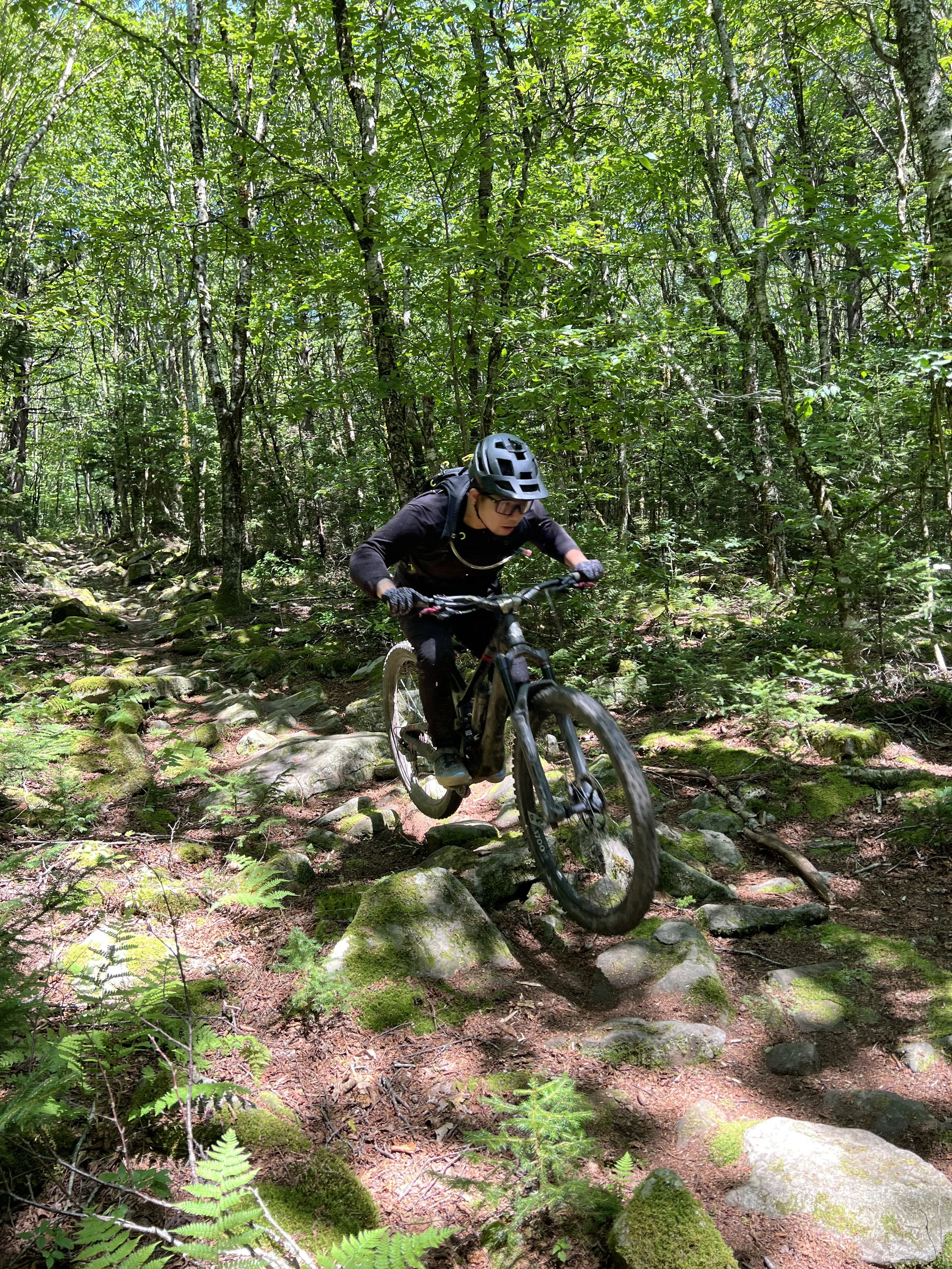 A person mountain biking on a rocky trail through a dense green forest on a sunny day.