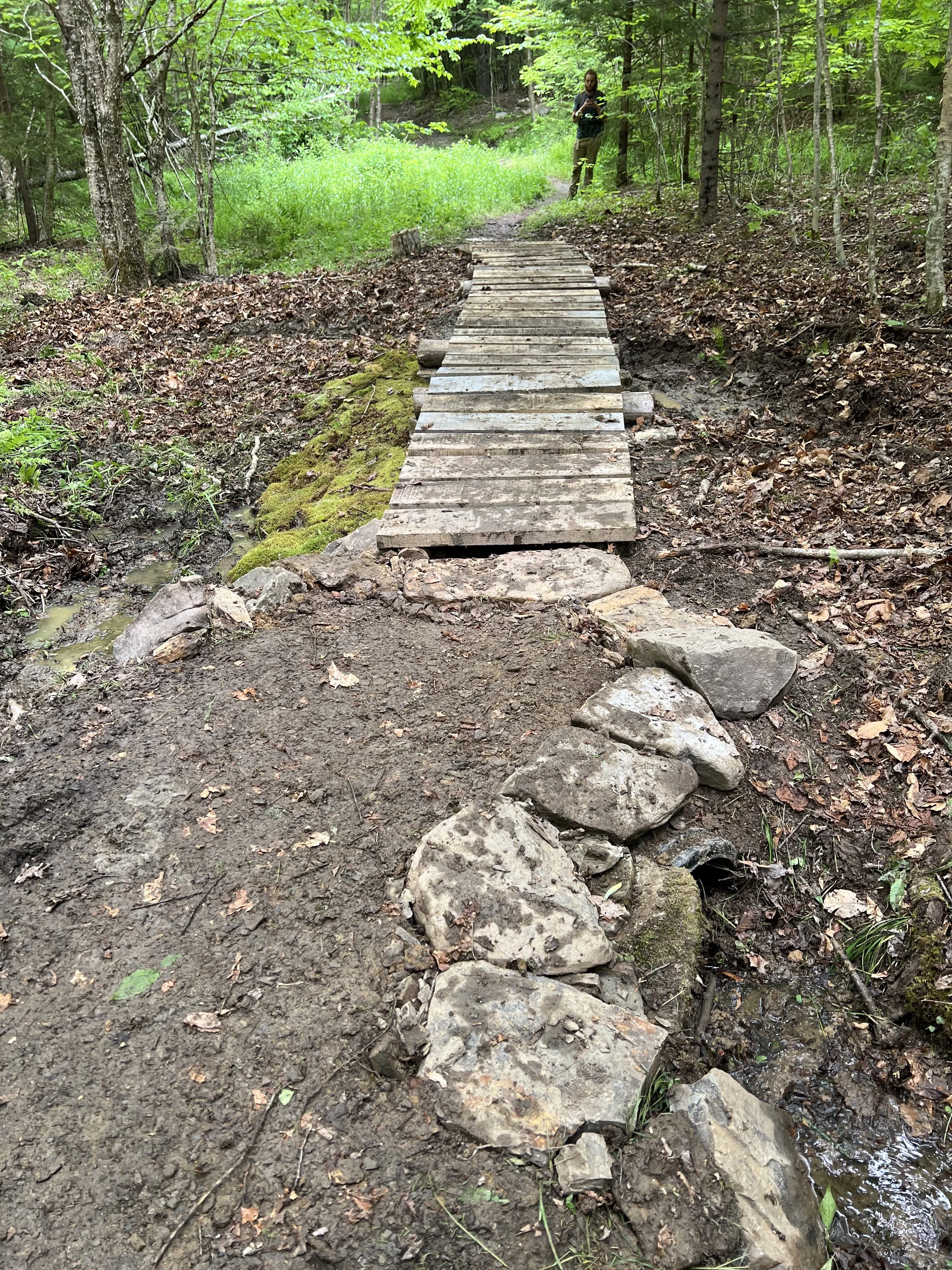 A small wooden footbridge crosses a narrow creek in a forested area with green trees and plants. A person is standing in the background near the trees, holding a camera or phone.