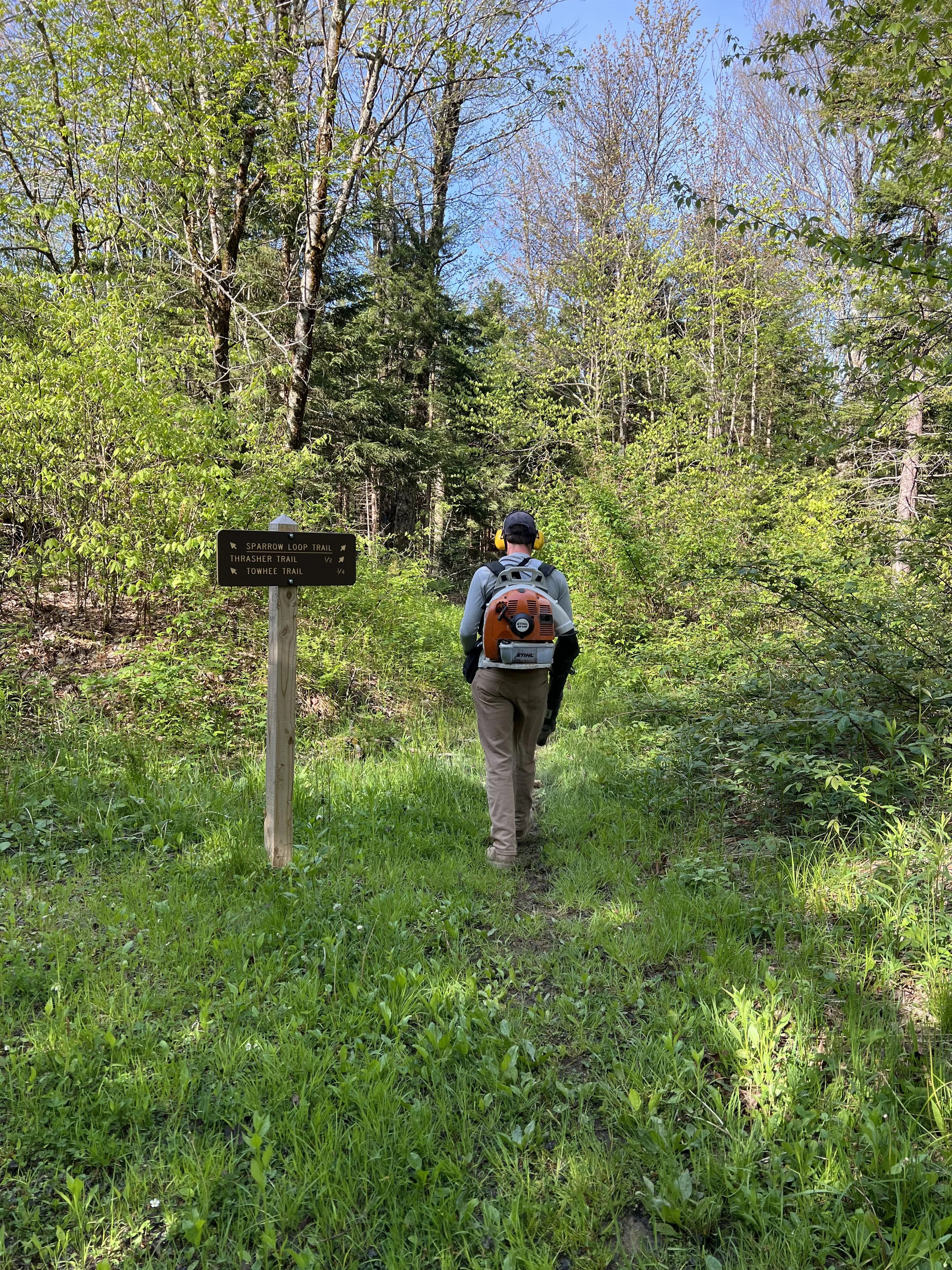 Person walking along a forest trail with a backpack, wearing a hat, headphones, and walking clothes, surrounded by green foliage, with trail sign pointing to Sparrow Loop Trail, Thrasher Trail, and Towhee Trail.