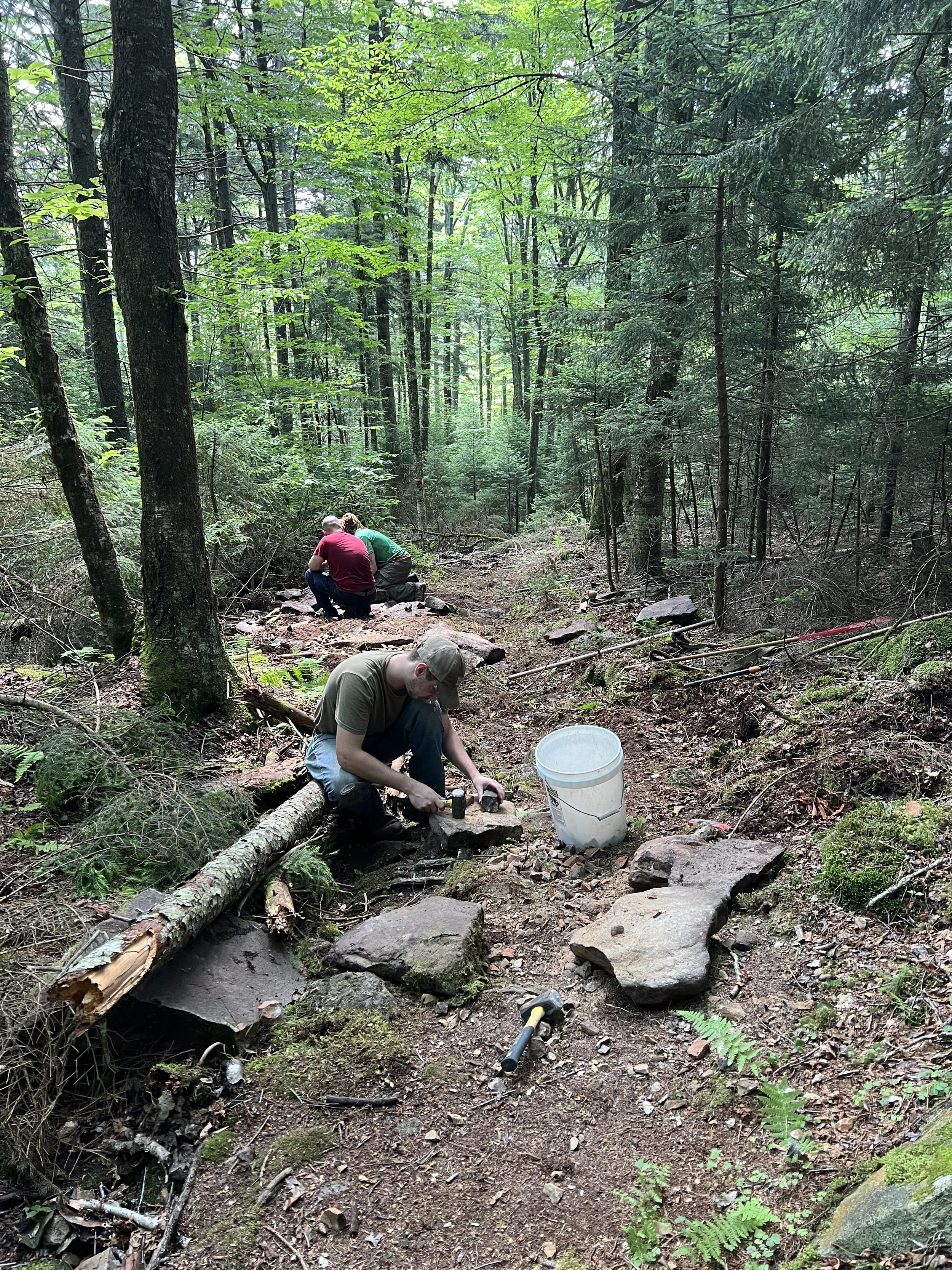 People working on trail repair in a forest.