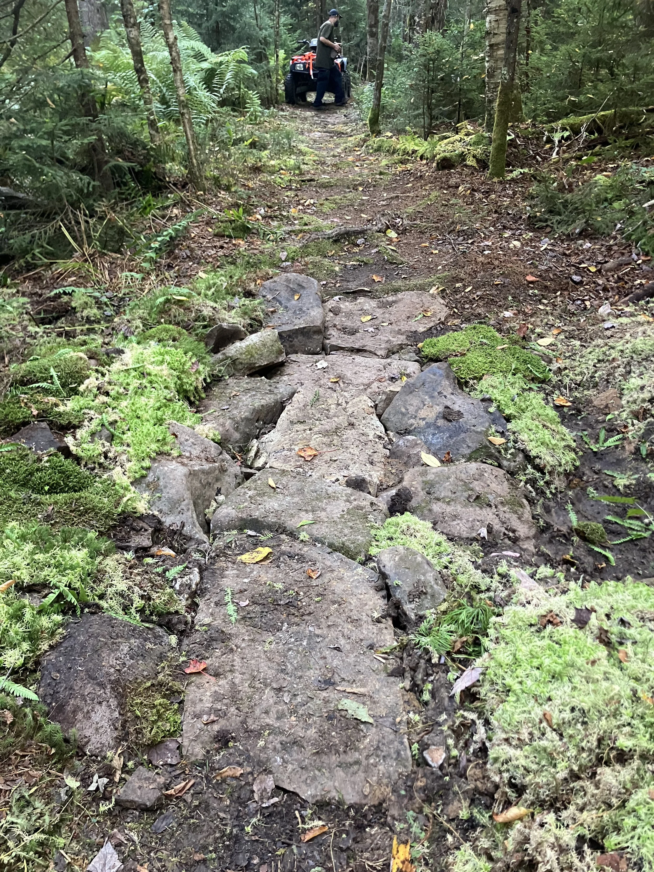 A rugged trail in a forest with large stones embedded in dirt, surrounded by green moss and foliage, with a person on an ATV in the background.