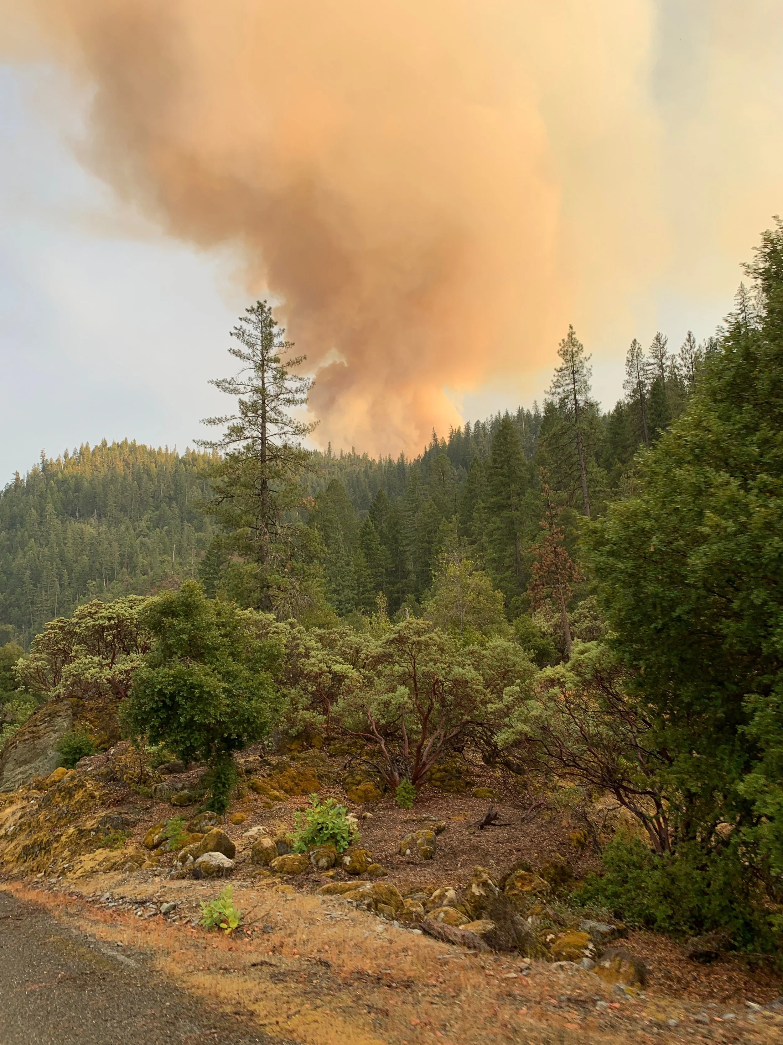 Smoke rising from a forest fire in a mountainous area, with green trees and rocks in the foreground.