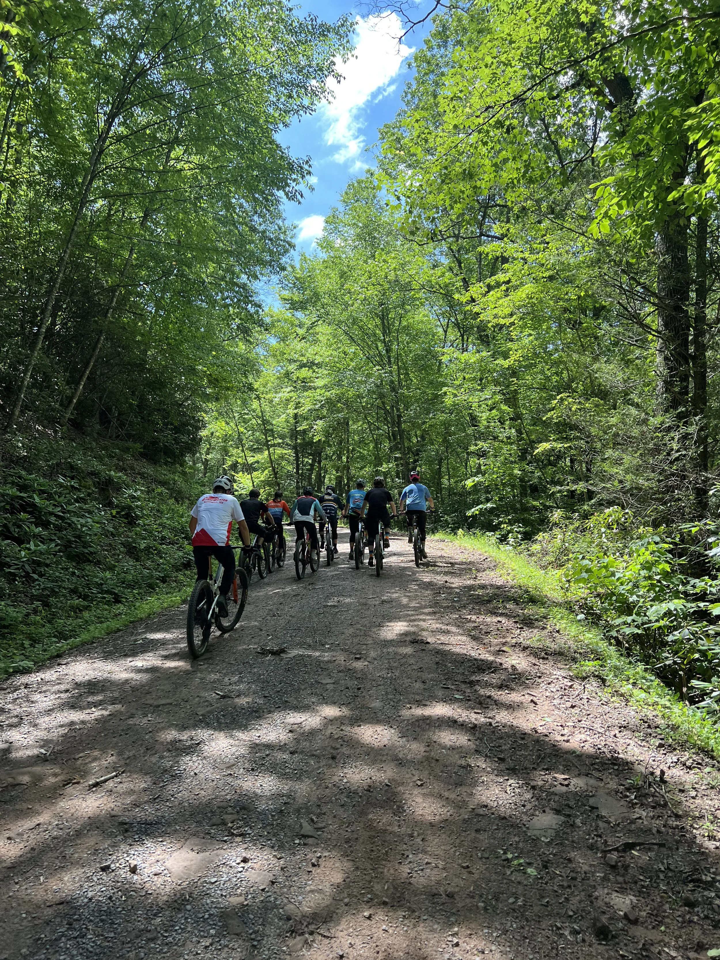 Group of people riding bicycles on a dirt trail through a green forest on a sunny day.