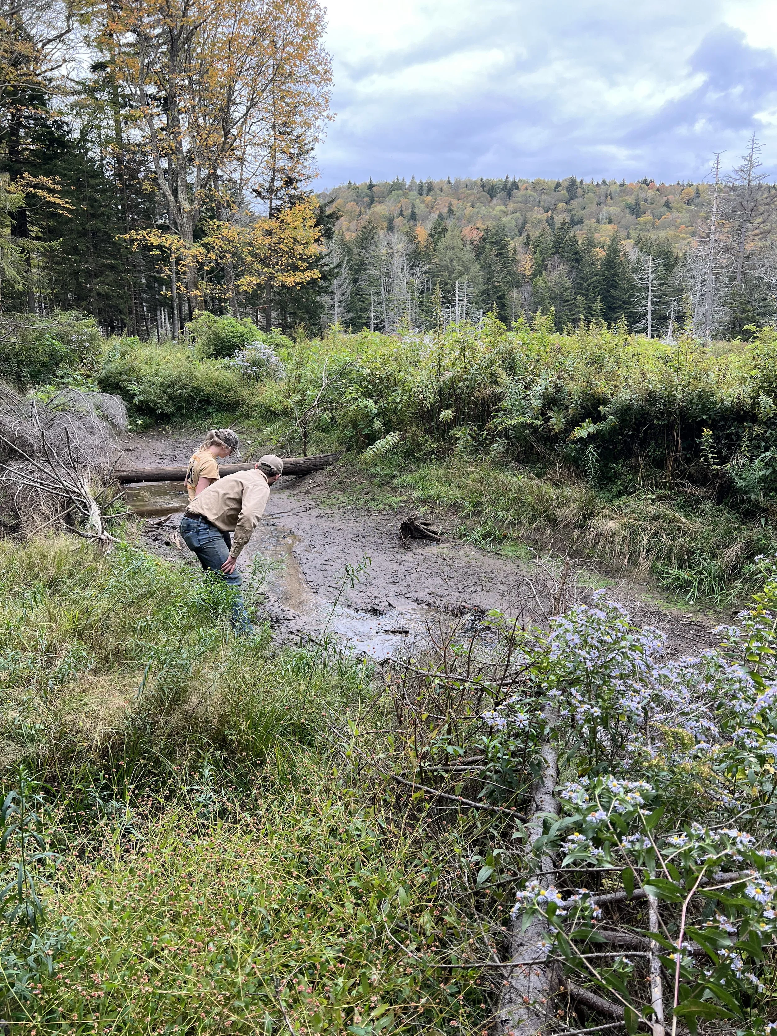 Two people exploring a muddy creek in a forested area during fall, with trees showing autumn colors and a cloudy sky in the background.