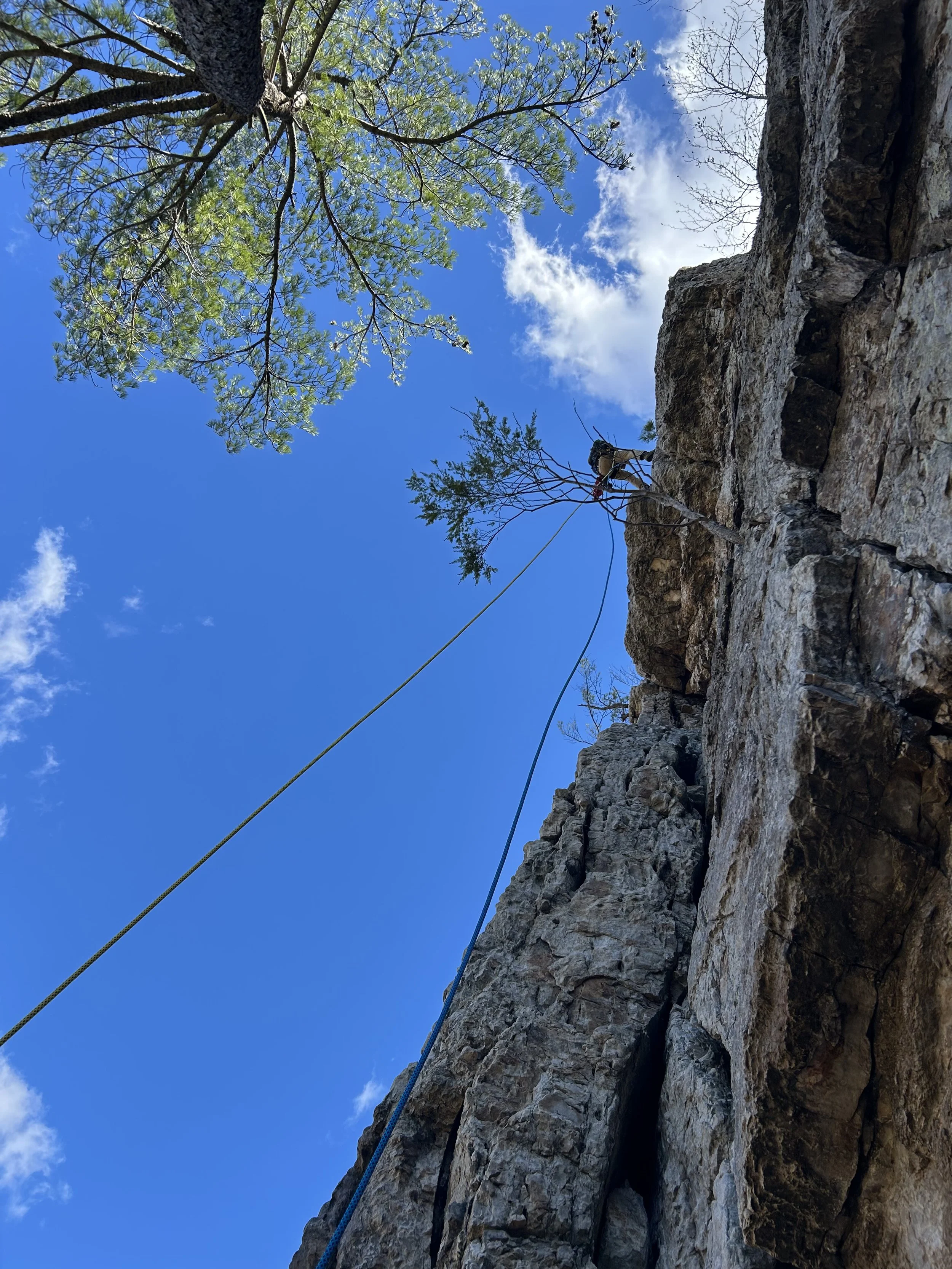 A person rocks climbing on a steep cliff, with two ropes attached, under a blue sky with some clouds and a few green trees.