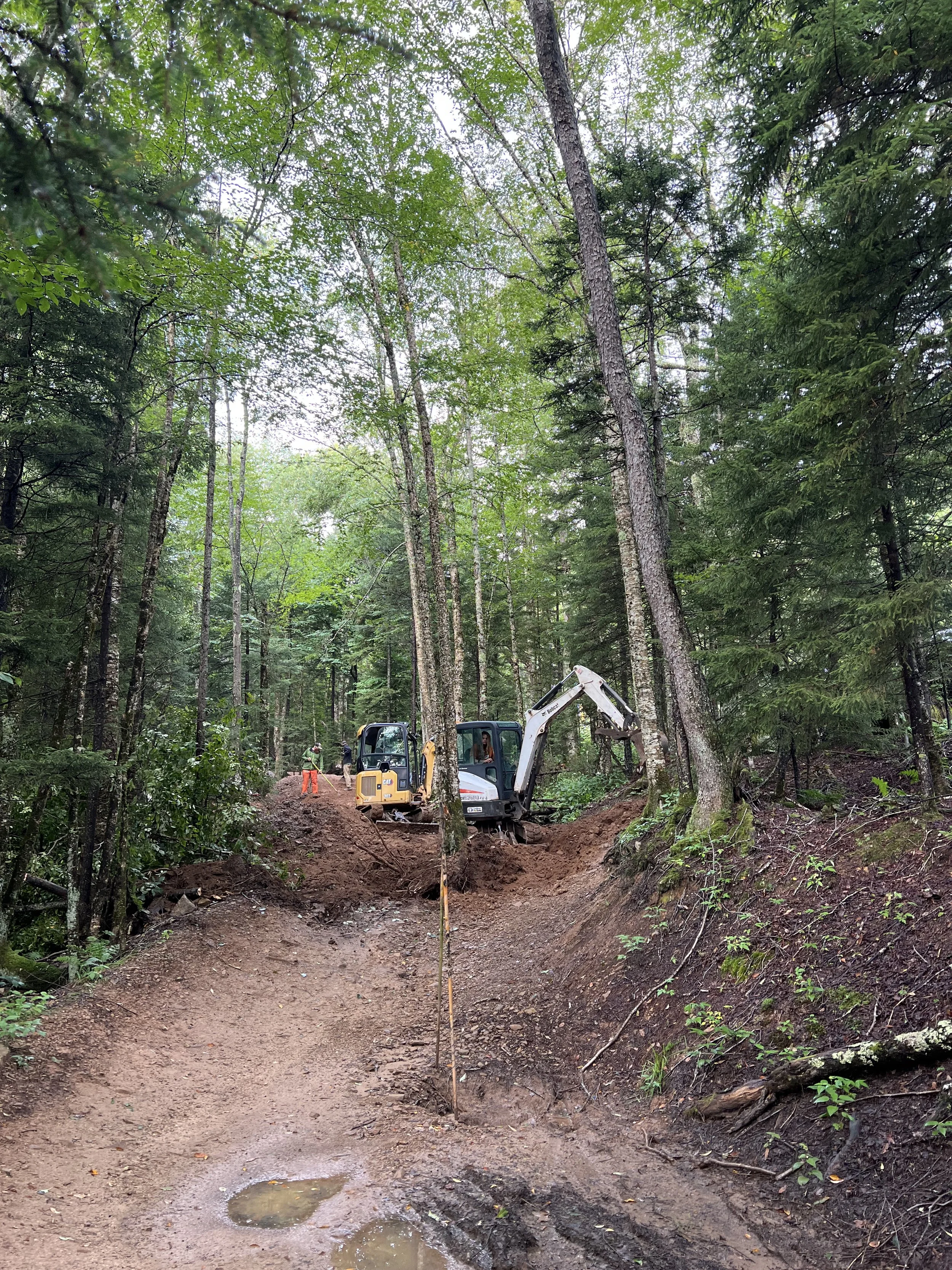 Construction workers operating mini excavator on dirt trail in dense green forest.
