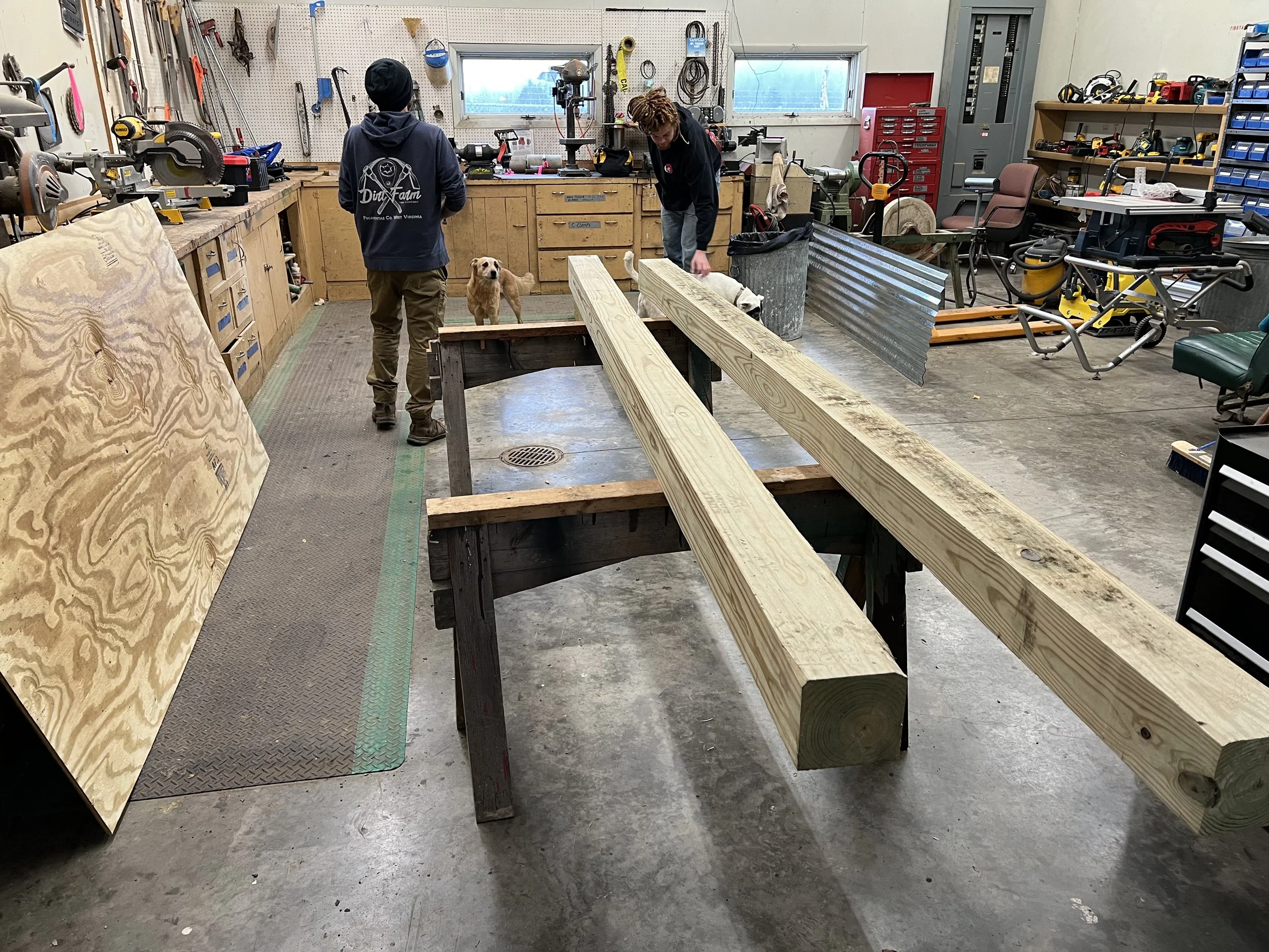 Two people working in a woodworking shop with wooden beams on a worktable, tools and equipment on shelves, and dogs nearby.
