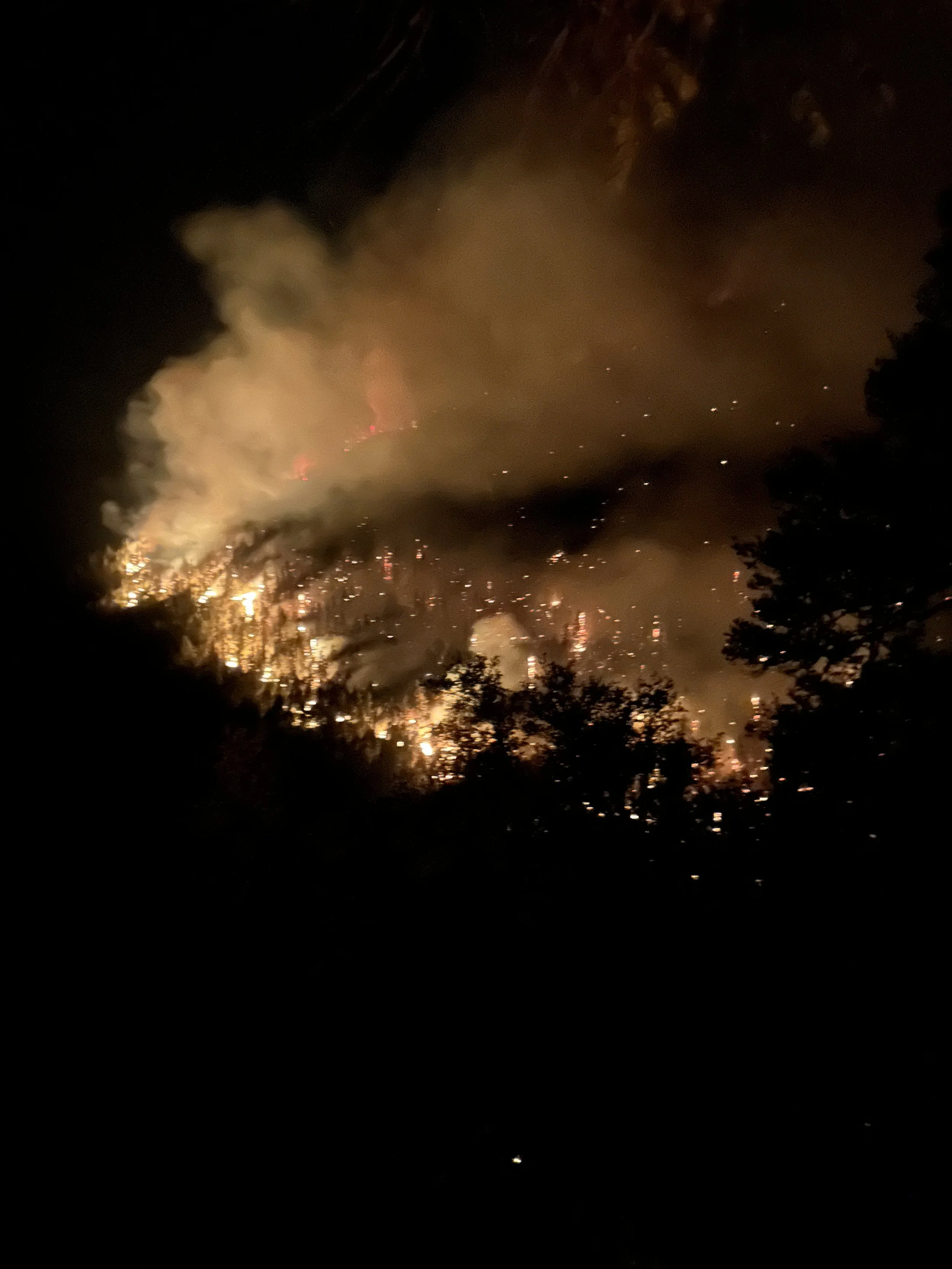 A large wildfire burning in the forest at night with visible flames and thick smoke in the sky.