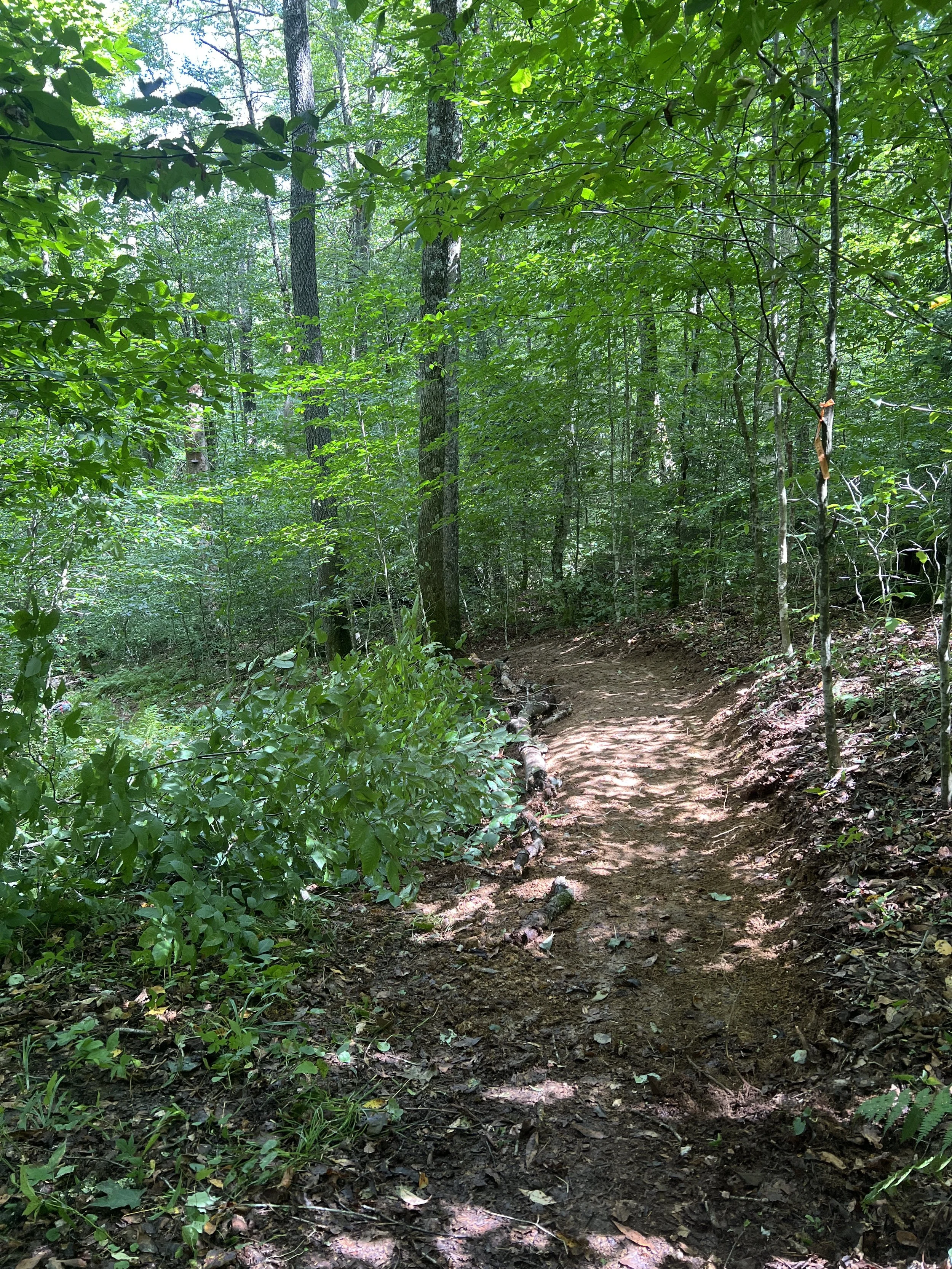 IMG_2011.JPG
