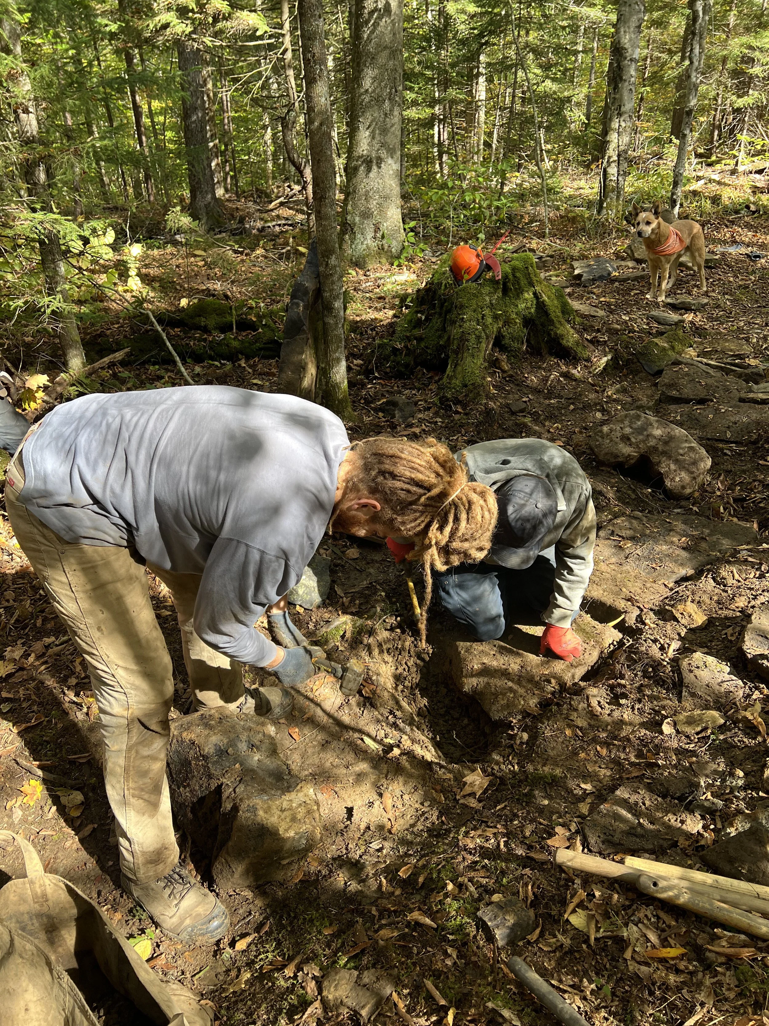 Two people working outdoors in a forest, digging or chopping in the dirt. One person has dreadlocks, and there is a small dog wearing an orange vest watching nearby. The scene is surrounded by trees and natural debris.