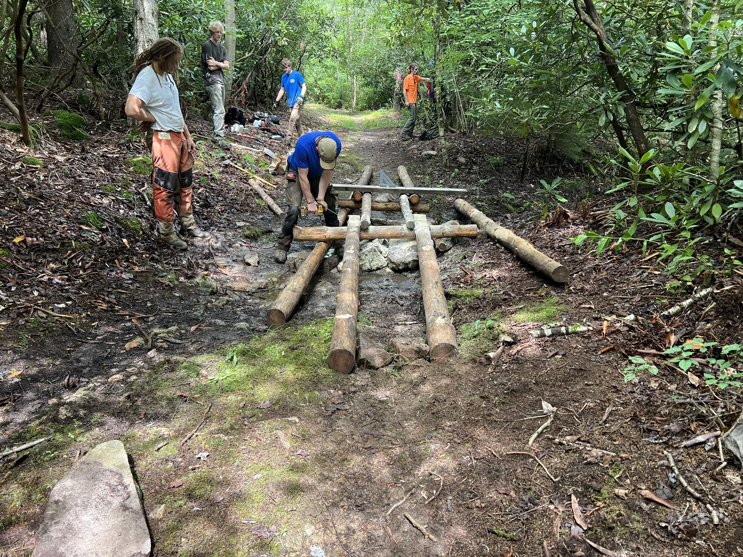 Group of people working on building a wooden footbridge over a muddy forest trail, surrounded by green trees and foliage.