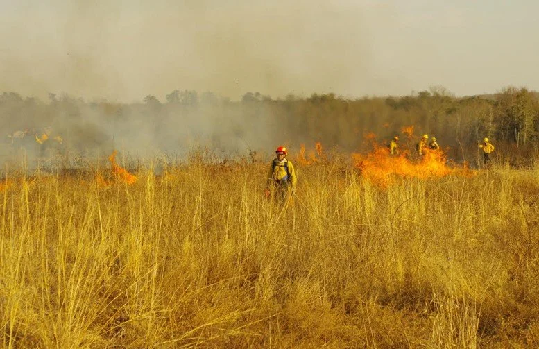 Firefighters working to put out a wildfire in a grassy field.