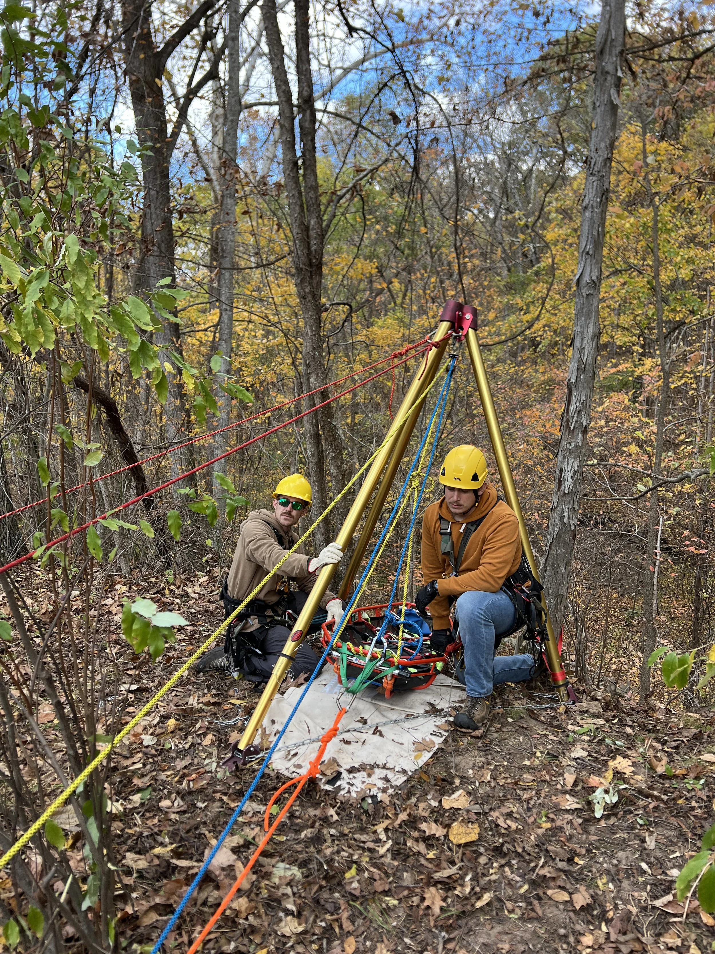 Two researchers wearing yellow helmets and harnesses setting up a scientific instrument in a wooded area with fallen leaves and autumn-colored trees.