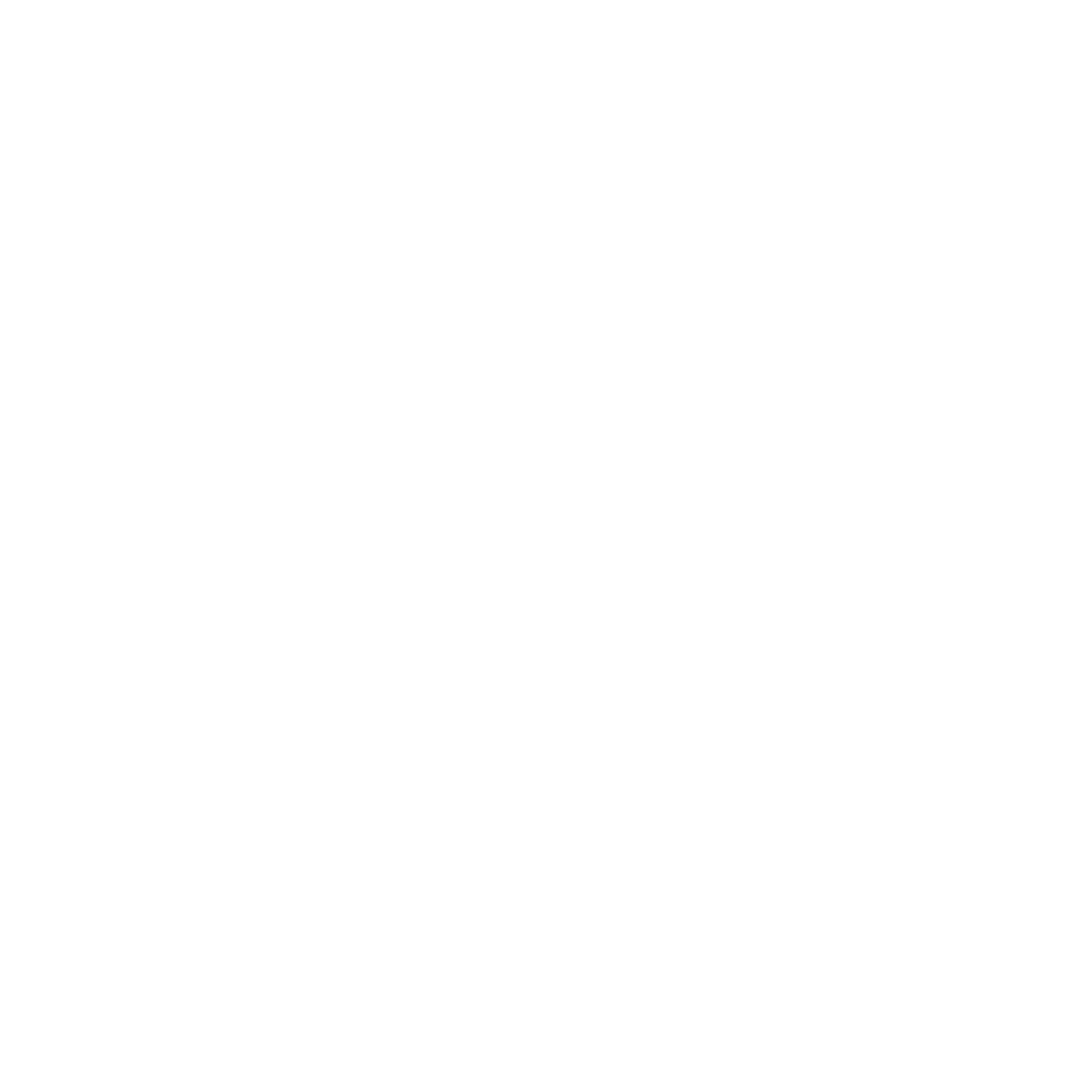 Logo for Nature's Mountain Playground in Pocahontas County, West Virginia, featuring mountain and tree illustrations.