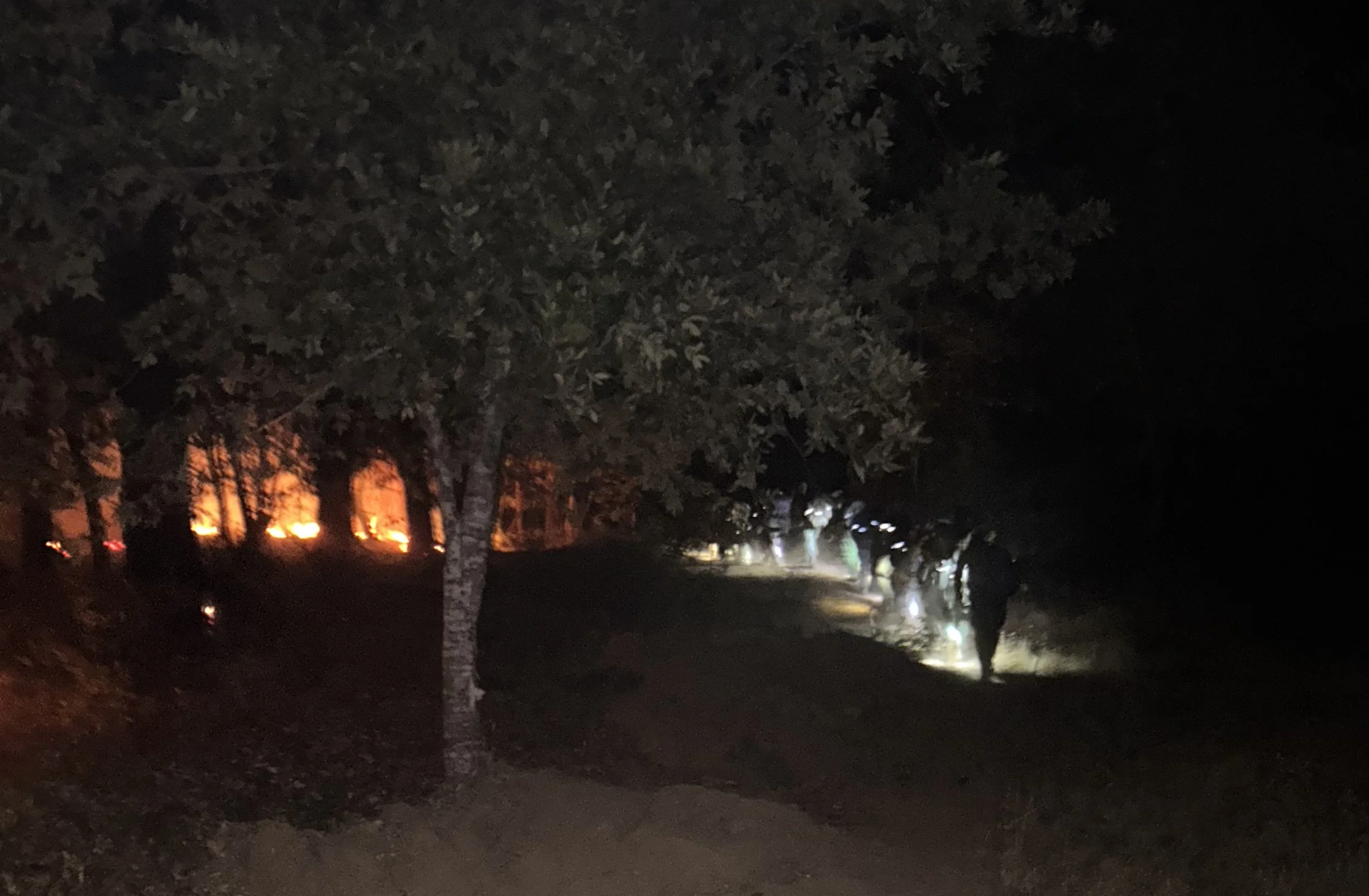 A night scene showing a forest fire in the background with trees on fire and a group of people walking along a path with their flashlights on.