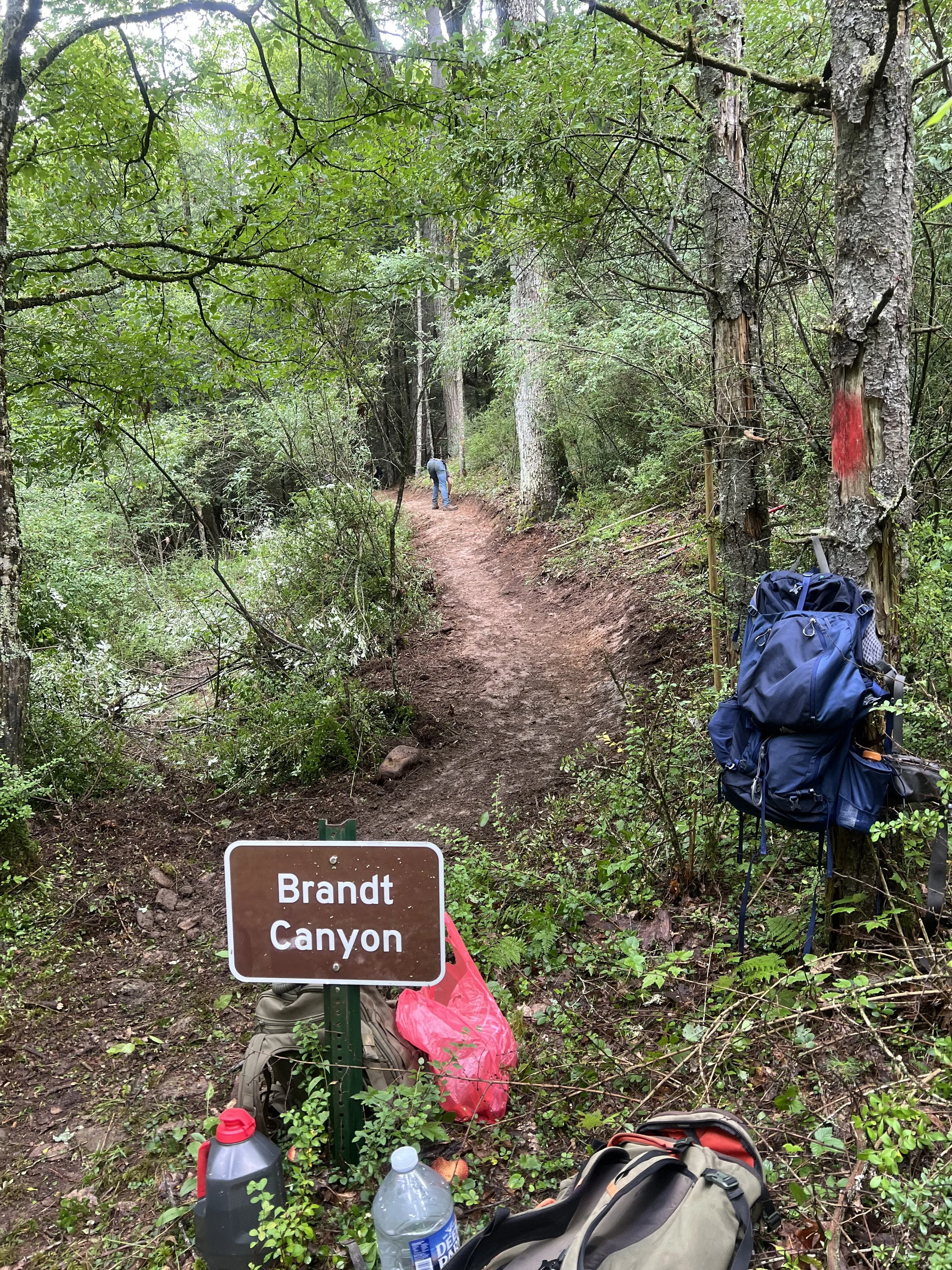 Trailhead sign for Brandt Canyon in a forested area. There are backpacks, water bottles, and other hiking gear near the sign. The trail is a dirt path surrounded by trees and green foliage, with a person walking in the distance.