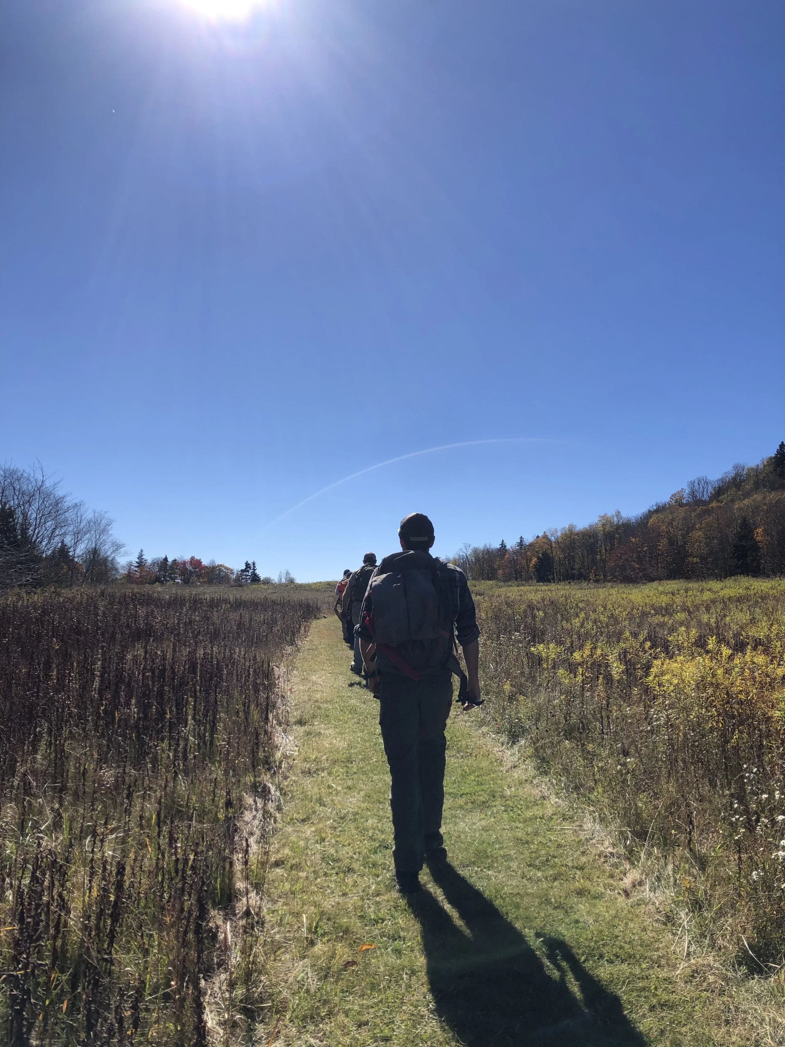 A group of hikers waking inline through a feild