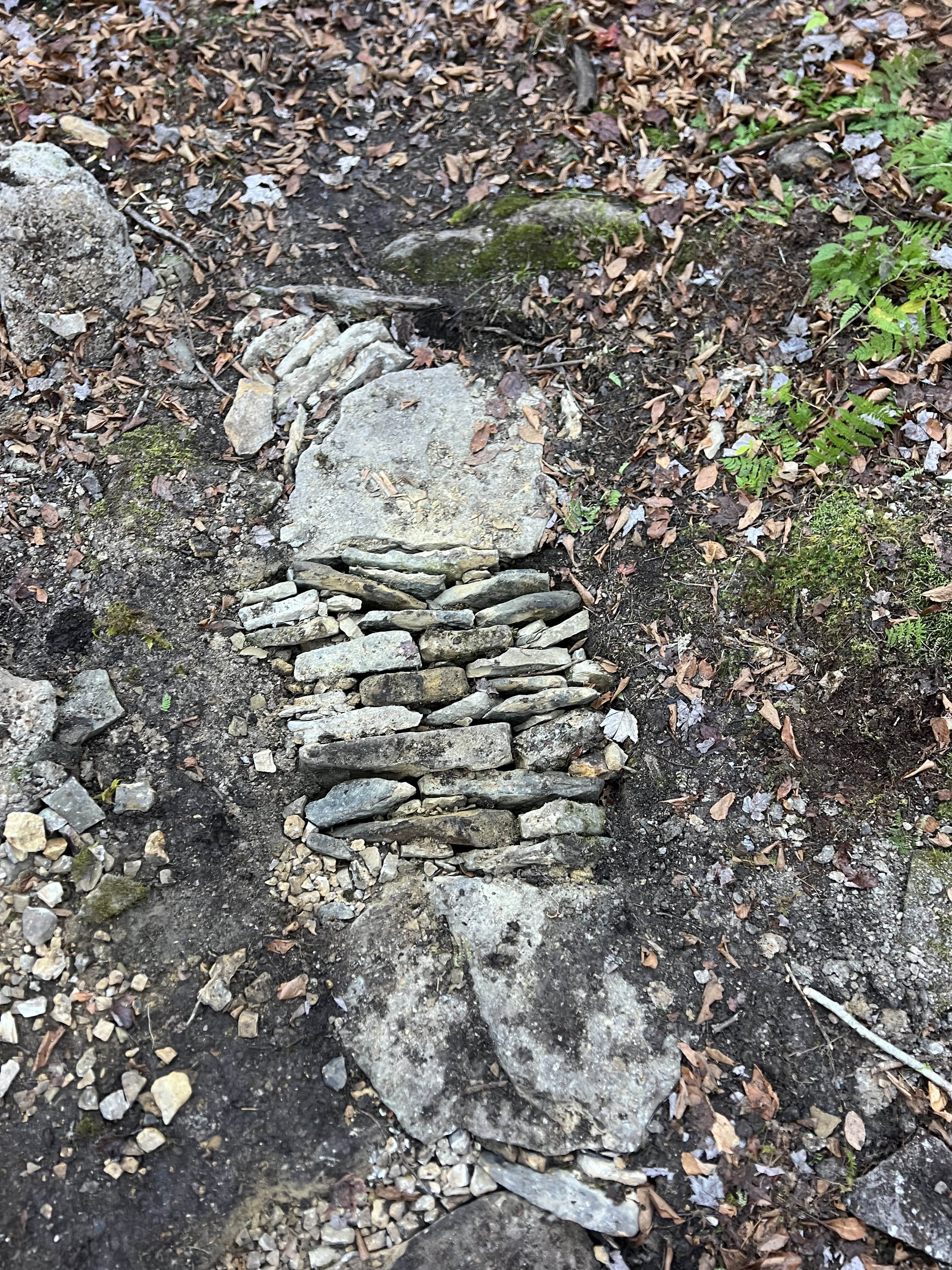 A trail with a small, makeshift stone bridge over a patch of dirt and fallen leaves in a forest.