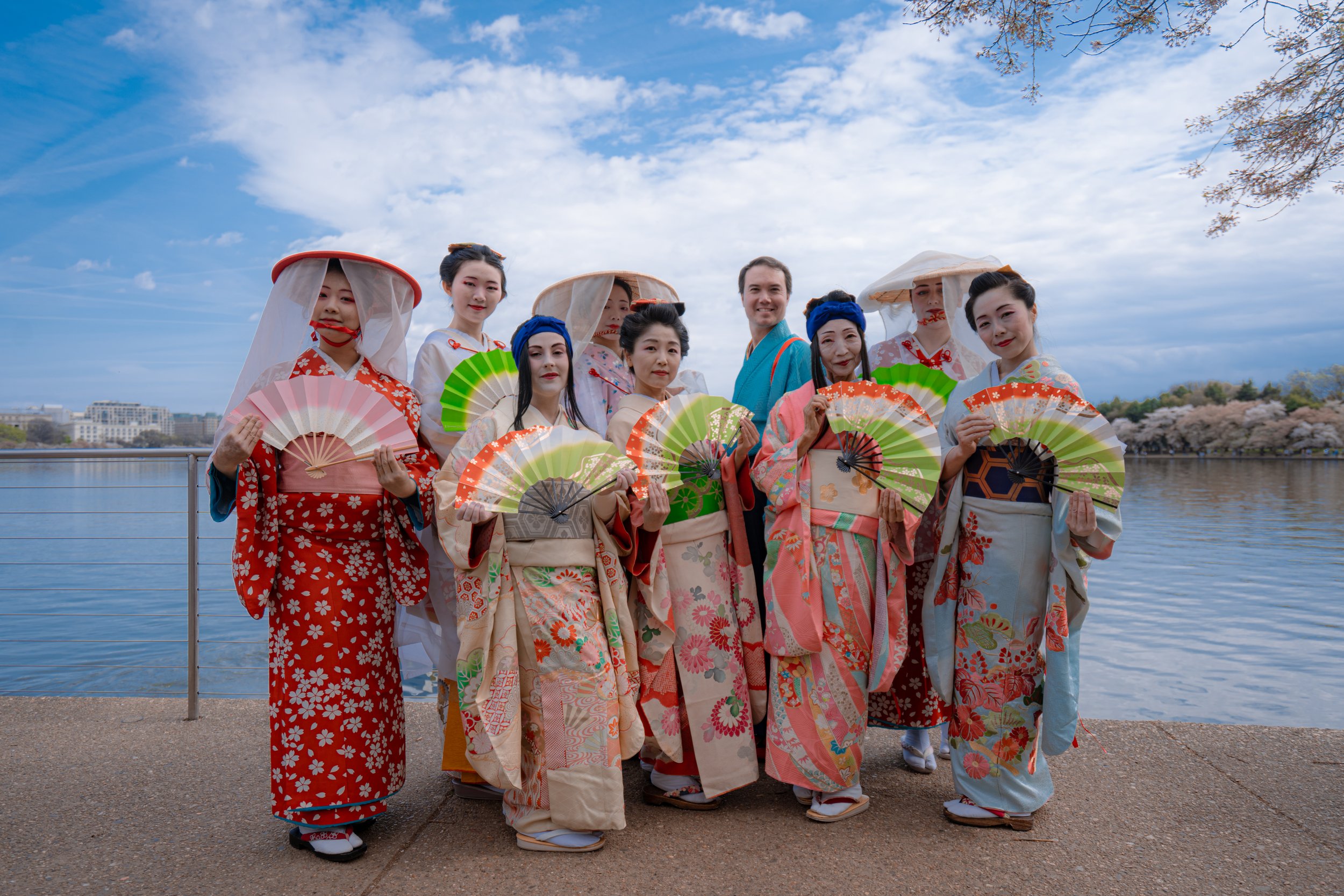 Cherry Blossom Festivals - Washington DC