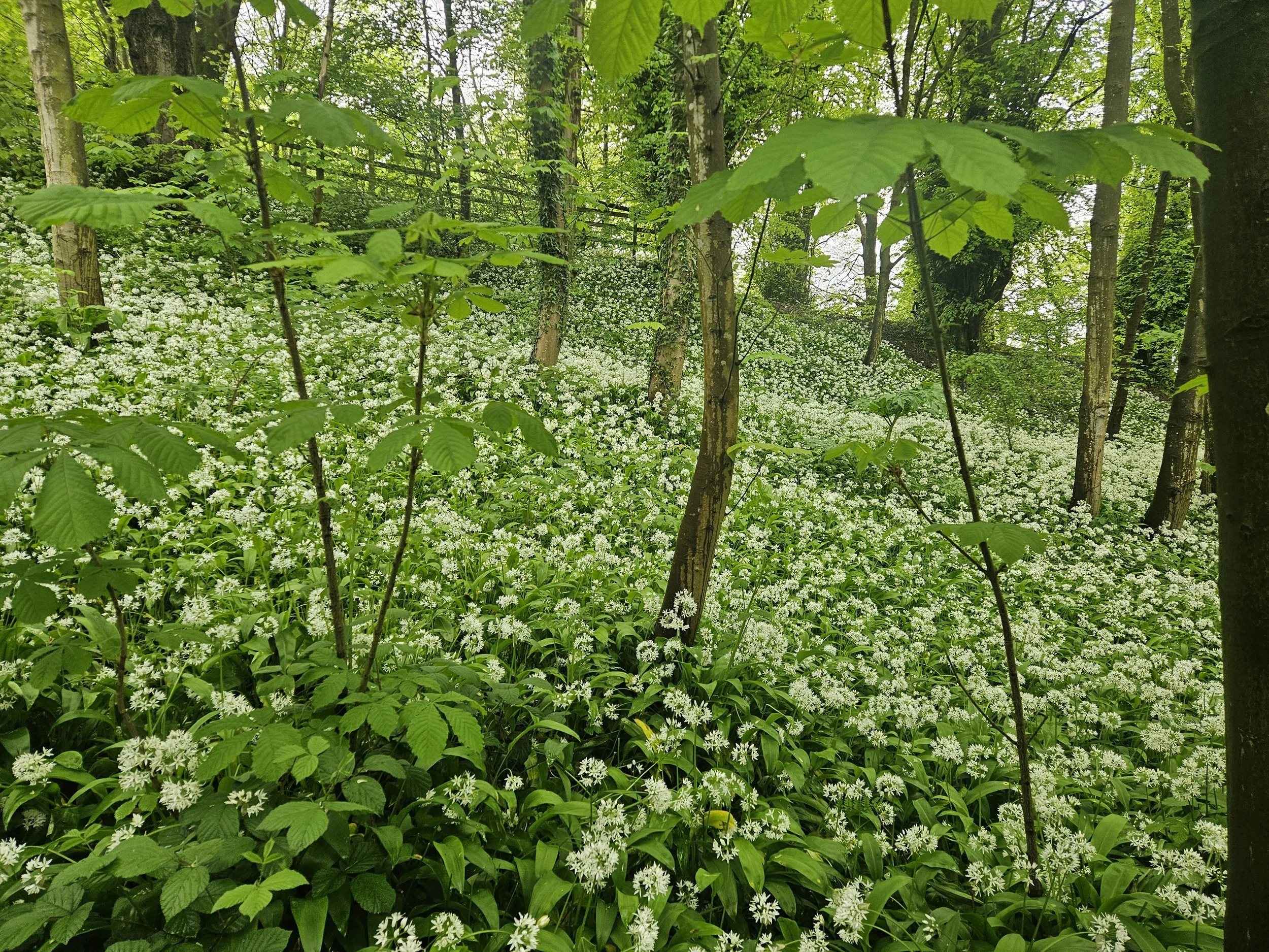 Let’s talk about hopelessness