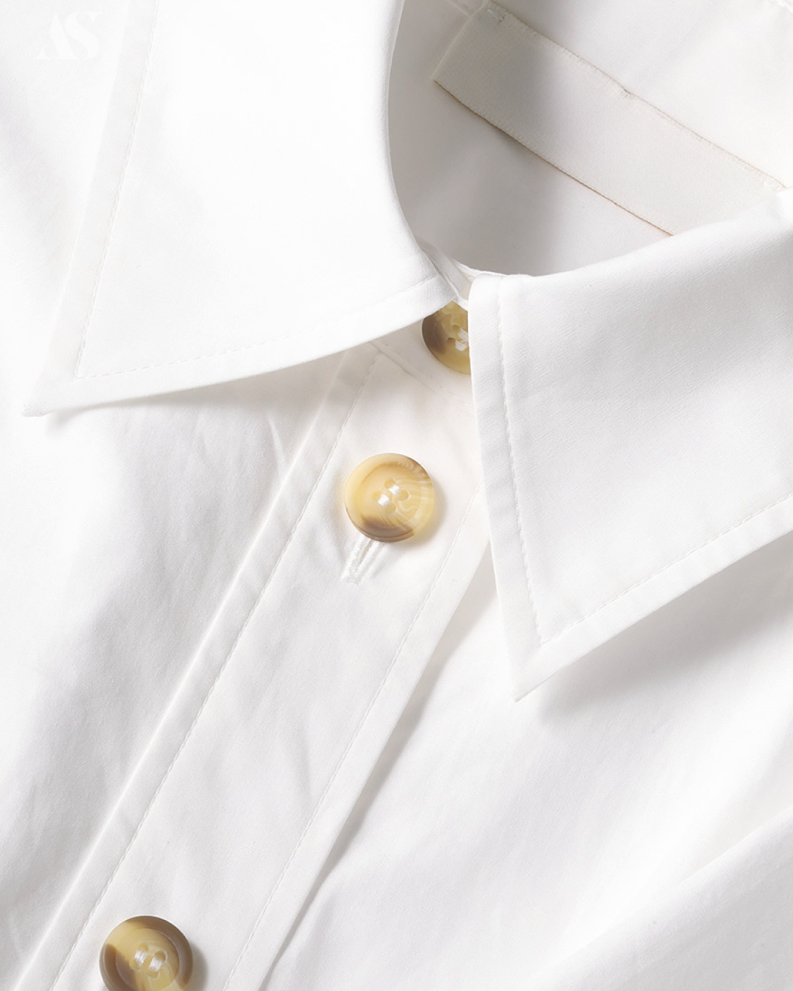 1205_glady_3 copy 2.png