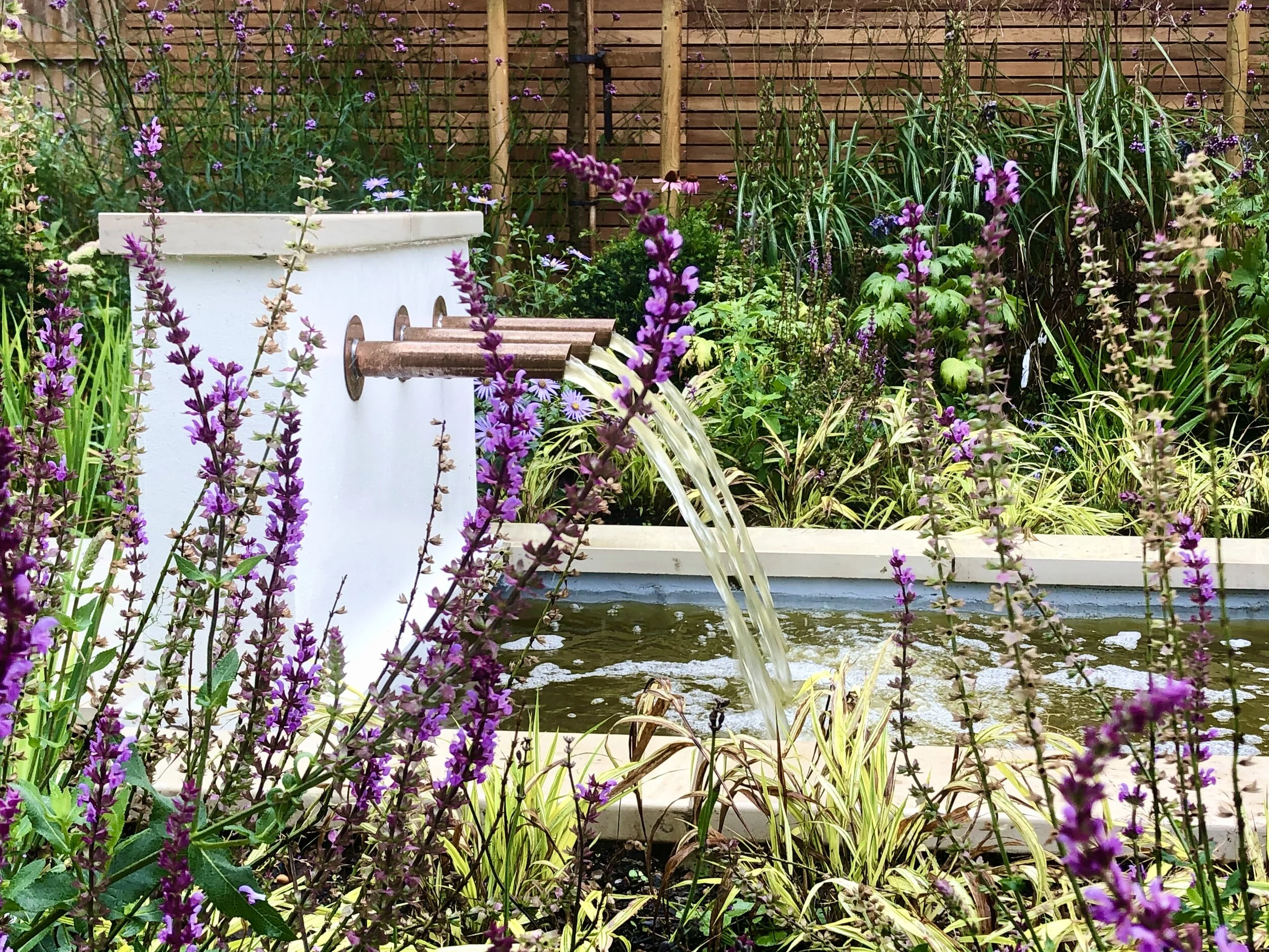 A garden with purple flowers surrounding a water fountain with water flowing from pipes into a pond.