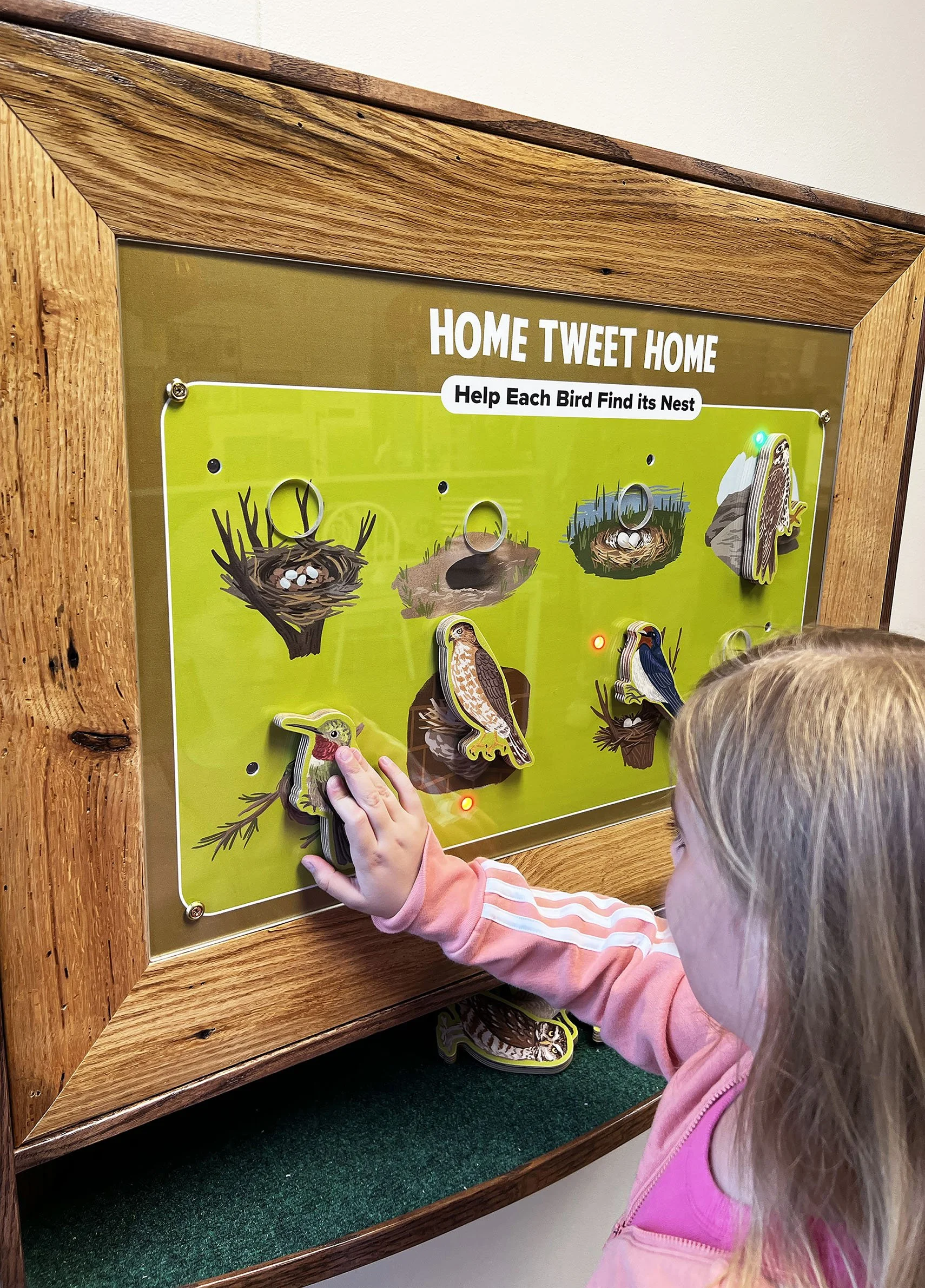 FW_Science_Children_Interactive_BQB_004.jpg