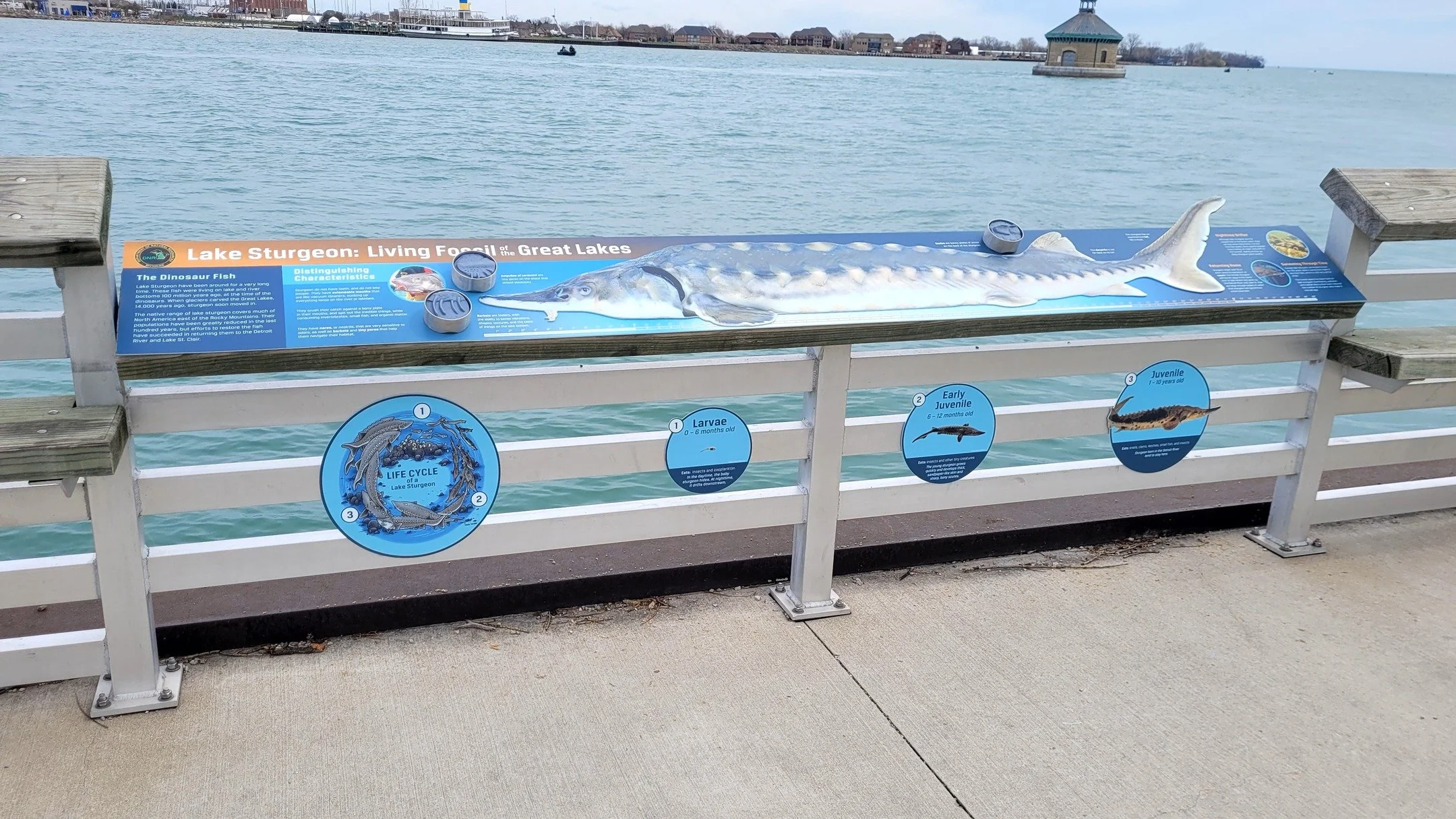If you walk down to the Belle Isle waterfront, you will see these new Fish Interactive Signs designed, fabricated and installed by our team! 
Featuring emblematic species of the area.