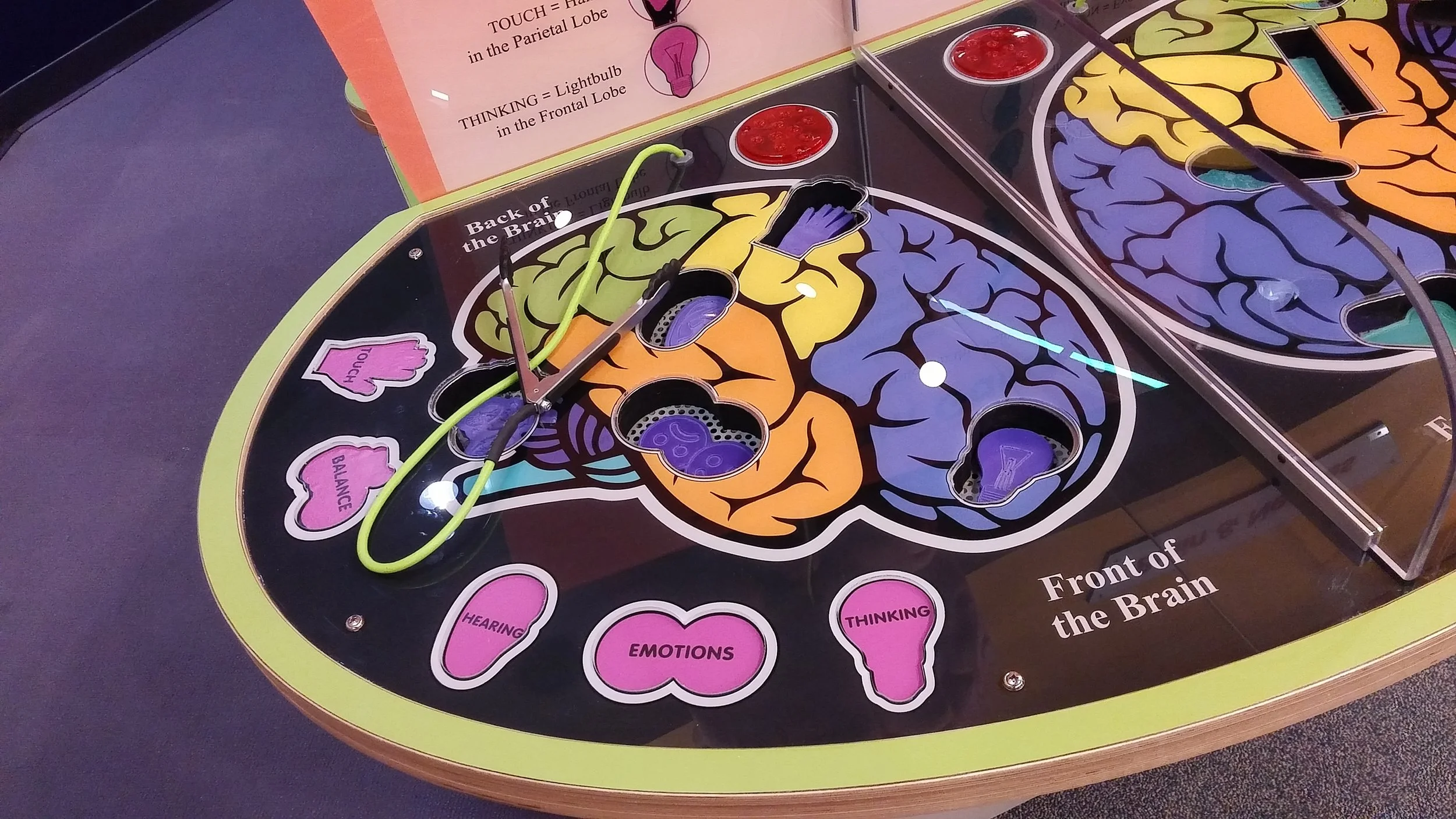 FW_Science_Children_BOP_003.jpg