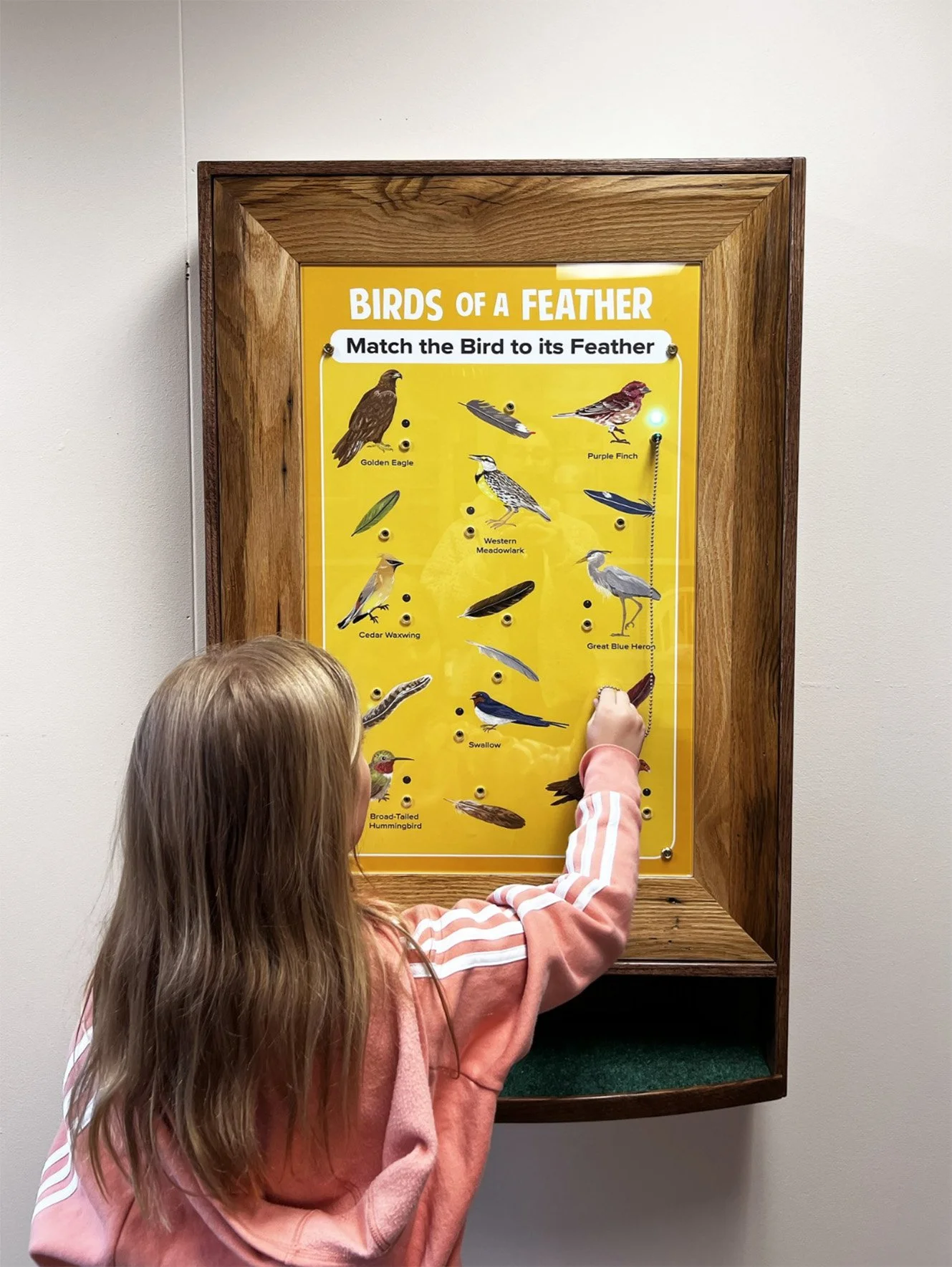 FW_Science_Children_Interactive_BQB_001.jpg
