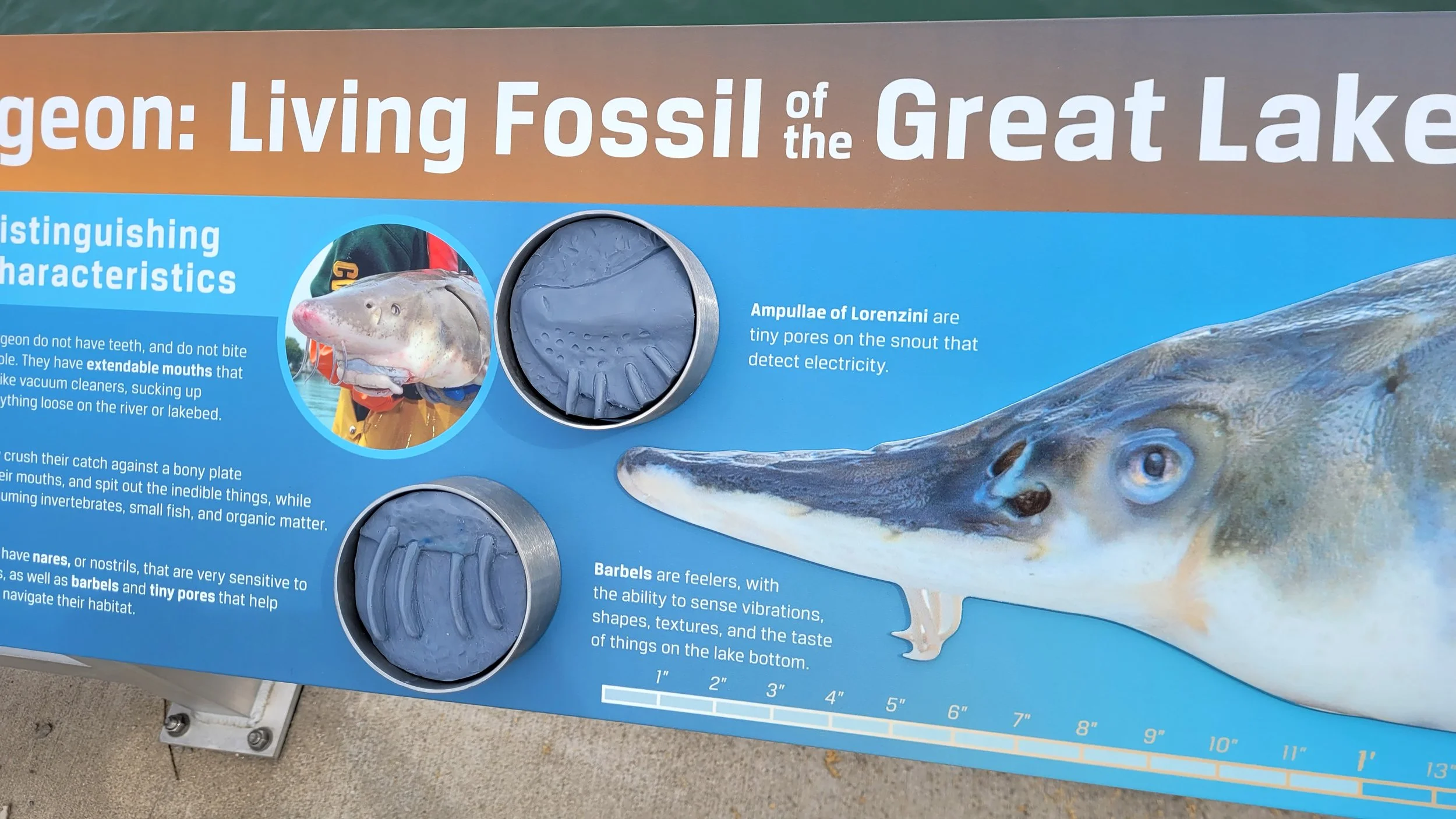 FW_OutdoorSignage_Science_BIFI_006.jpg