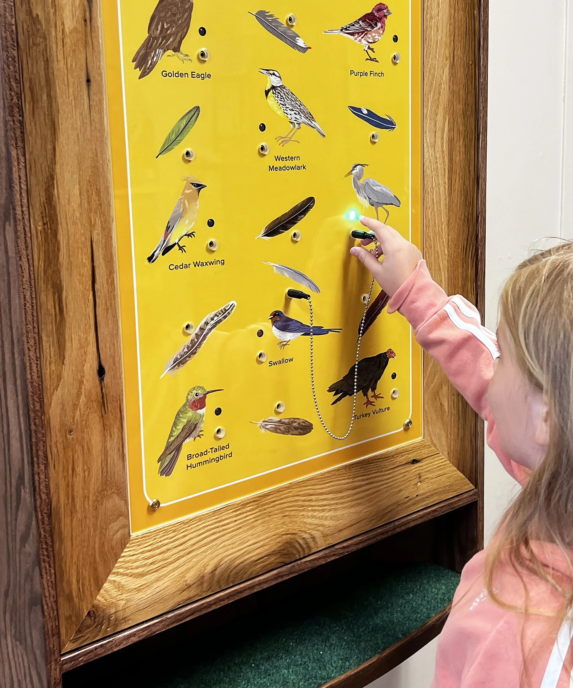 FW_Science_Children_Interactive_BQB_003jpg.jpg