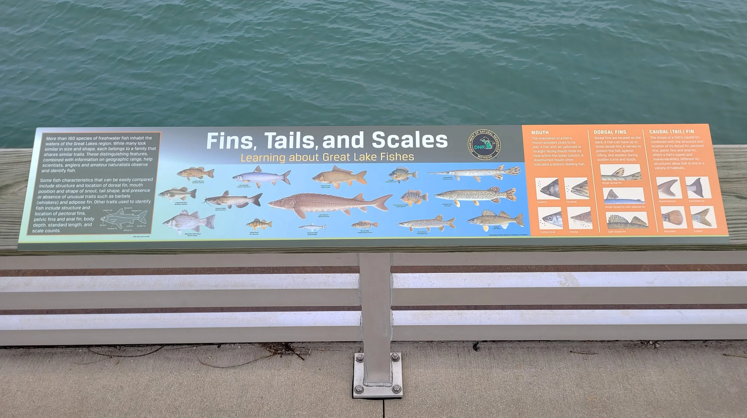 FW_OutdoorSignage_Science_BIFI_011.jpg