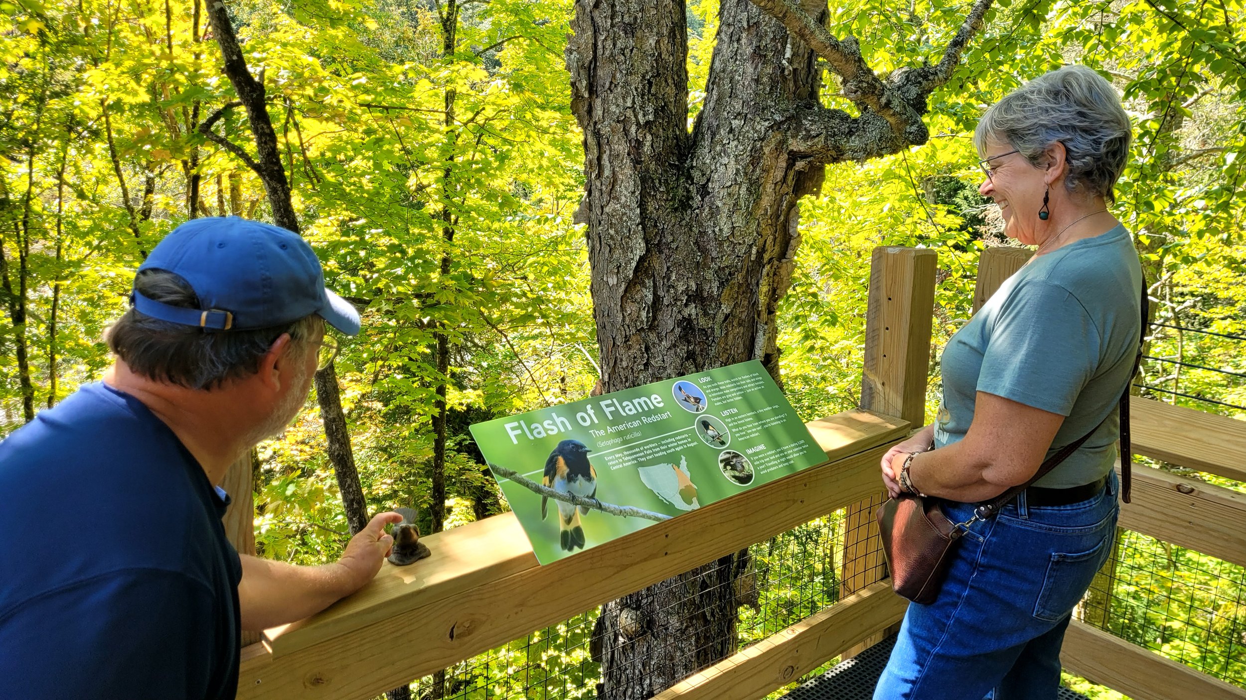 FW_OutdoorSignage_Science_TFS_004.jpg