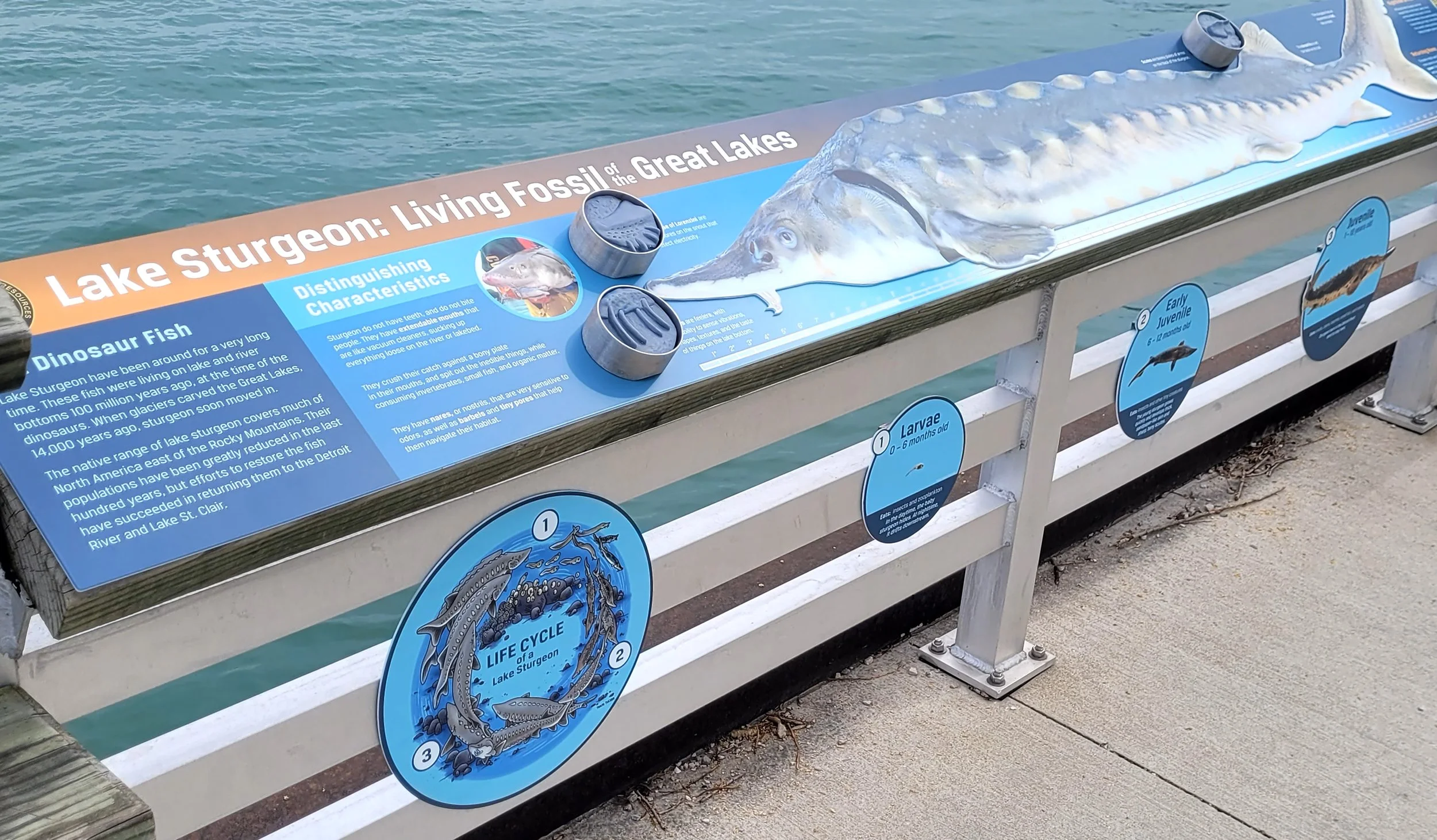 Tactile Graphics on the Riverside