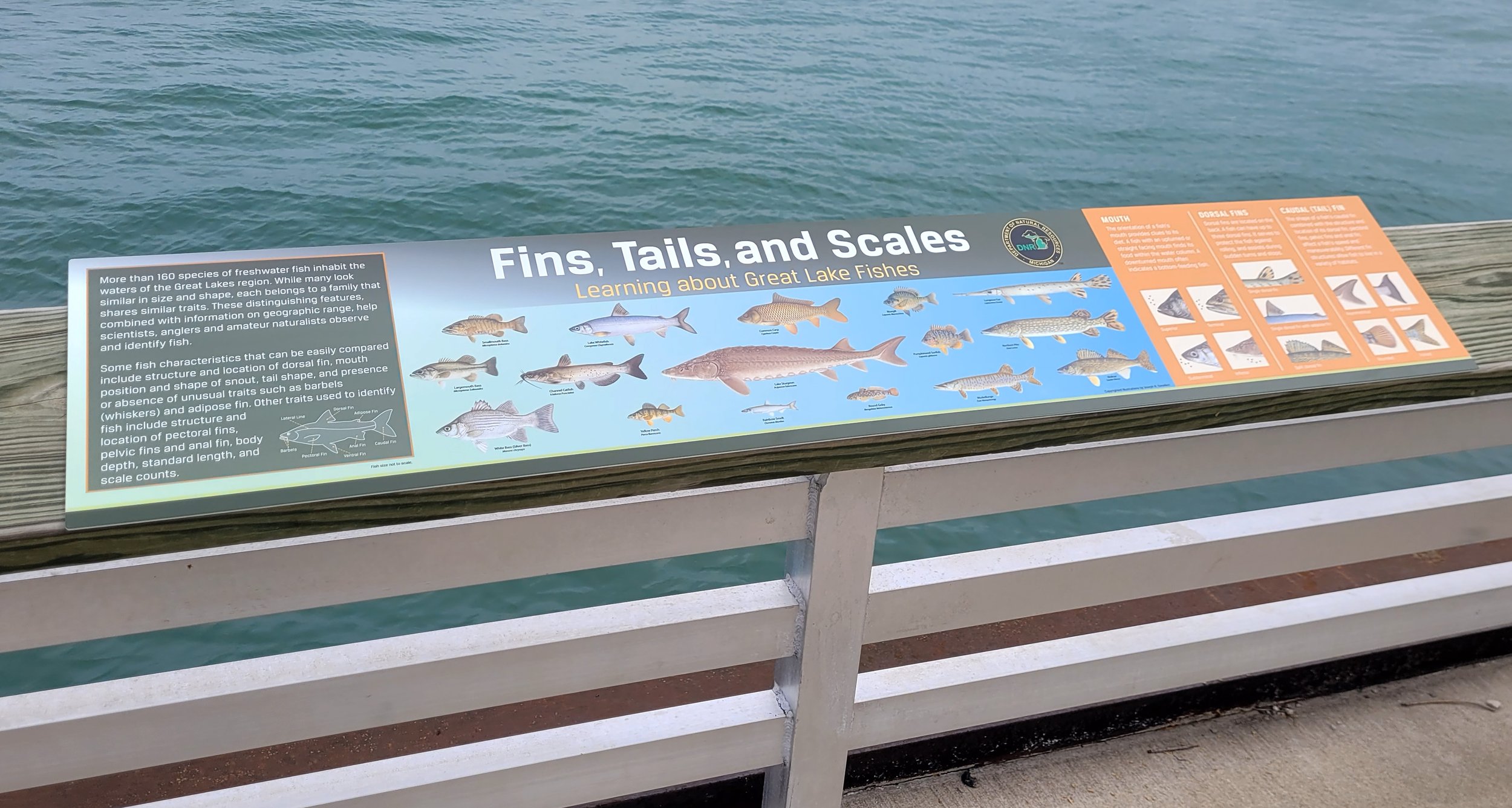 FW_OutdoorSignage_Science_BIFI_010.jpg