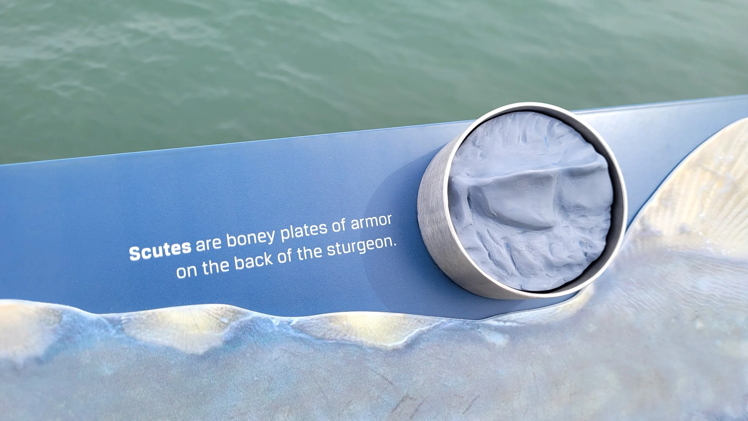 FW_OutdoorSignage_Science_BIFI_005.jpg