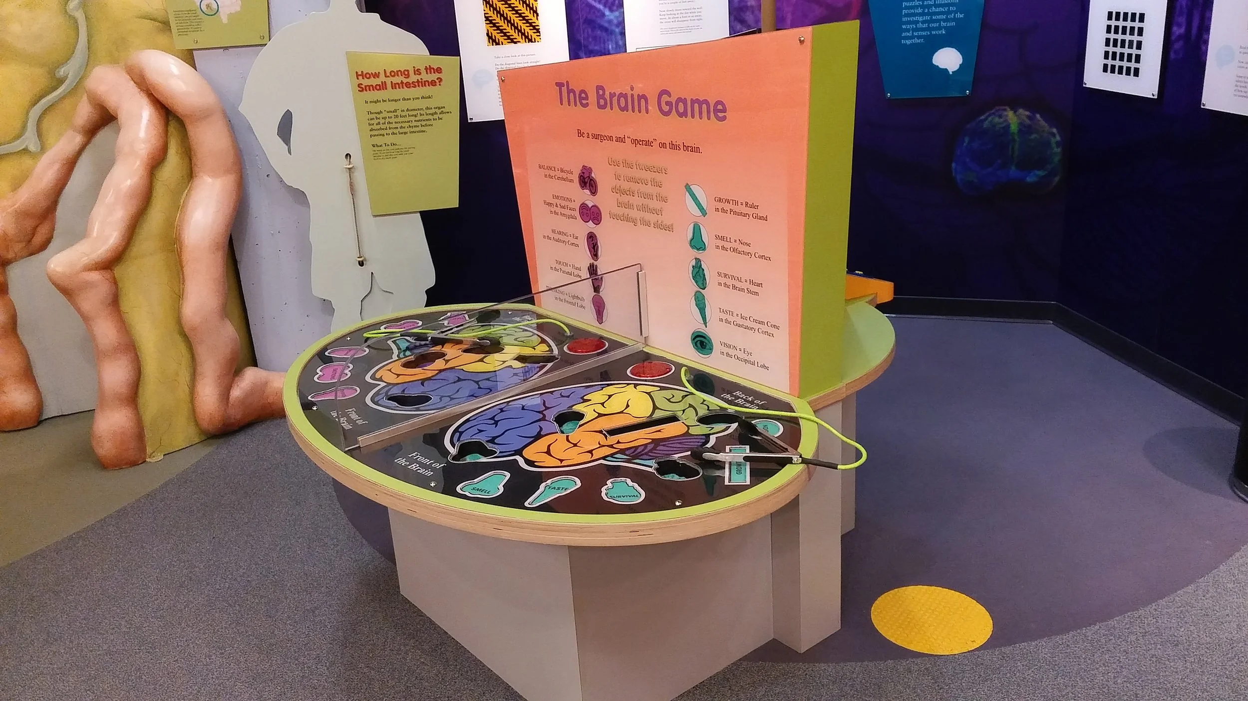 FW_Science_Children_BOP_004.jpg