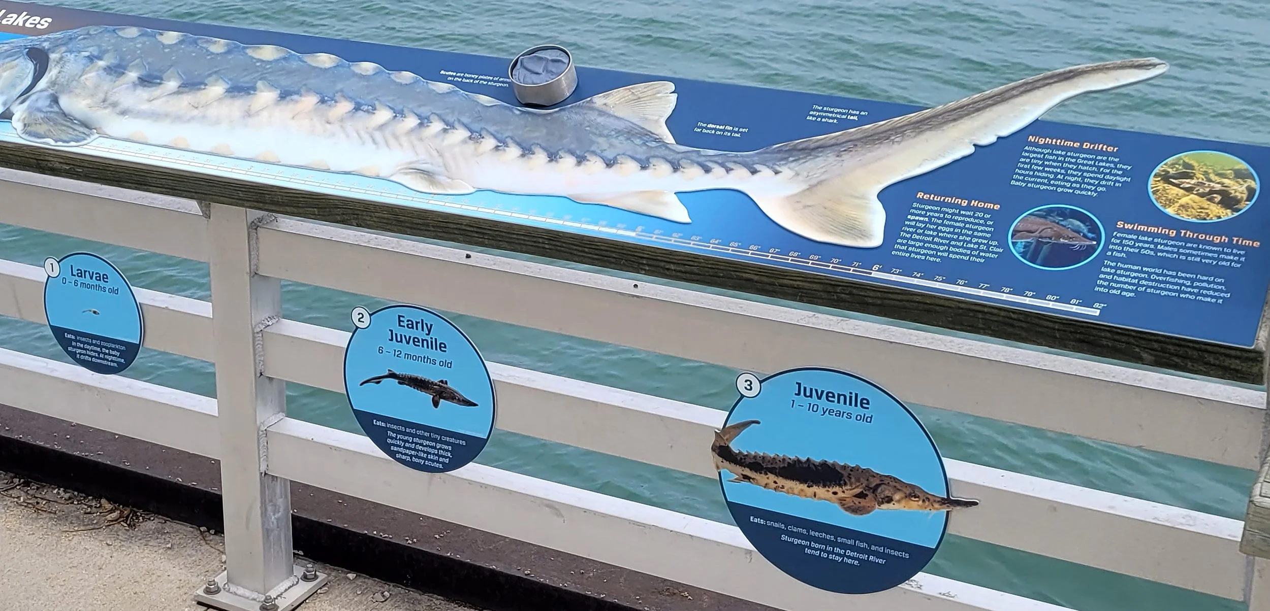 FW_OutdoorSignage_Science_BIFI_003.jpg