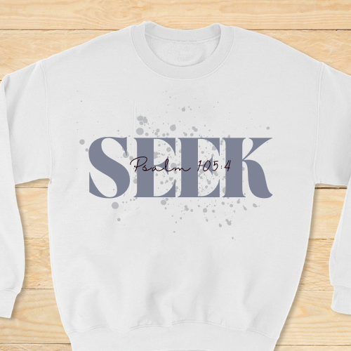 Seek- Bluegrey.png