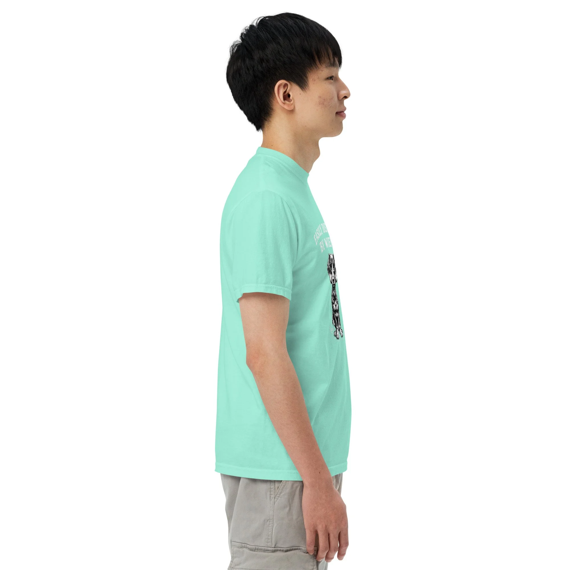 unisex-garment-dyed-heavyweight-t-shirt-chalky-mint-right-69e676d2998a5.jpg