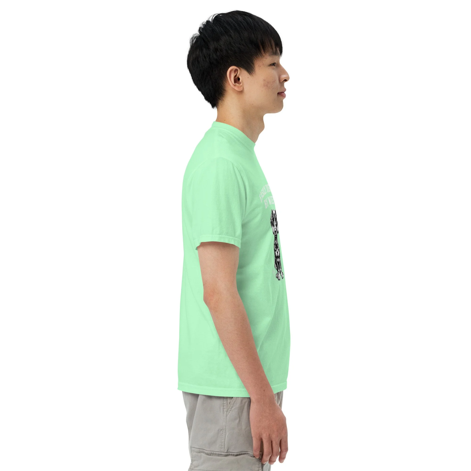 unisex-garment-dyed-heavyweight-t-shirt-island-reef-right-69e676d308ffb.jpg