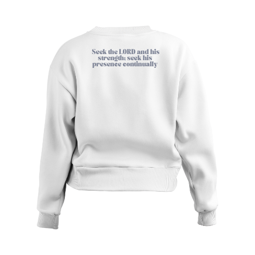 Seek- Bluegrey (back).png