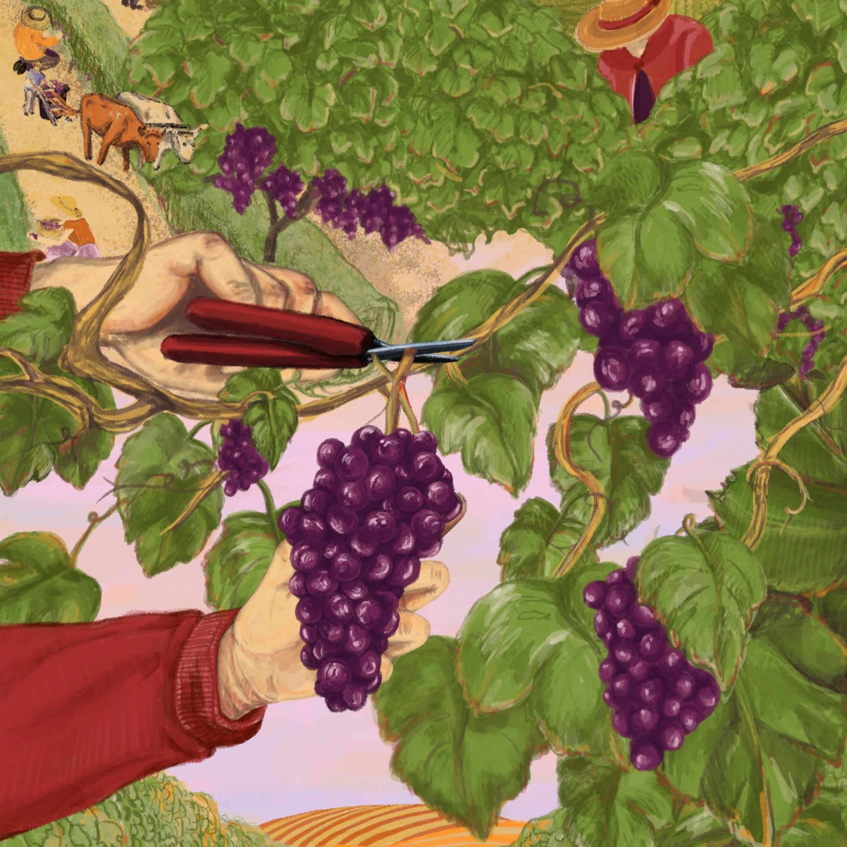 Imperdíveis - illustrations