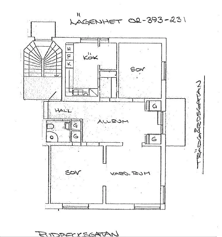 393-231.jpg