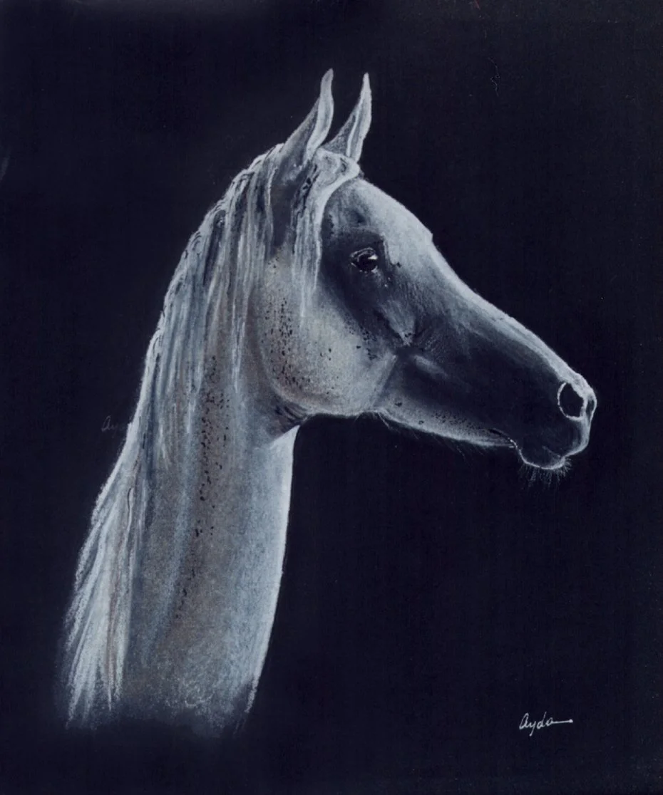 19 X 23cm-Pastel and pencil on black paper 2001.jpg