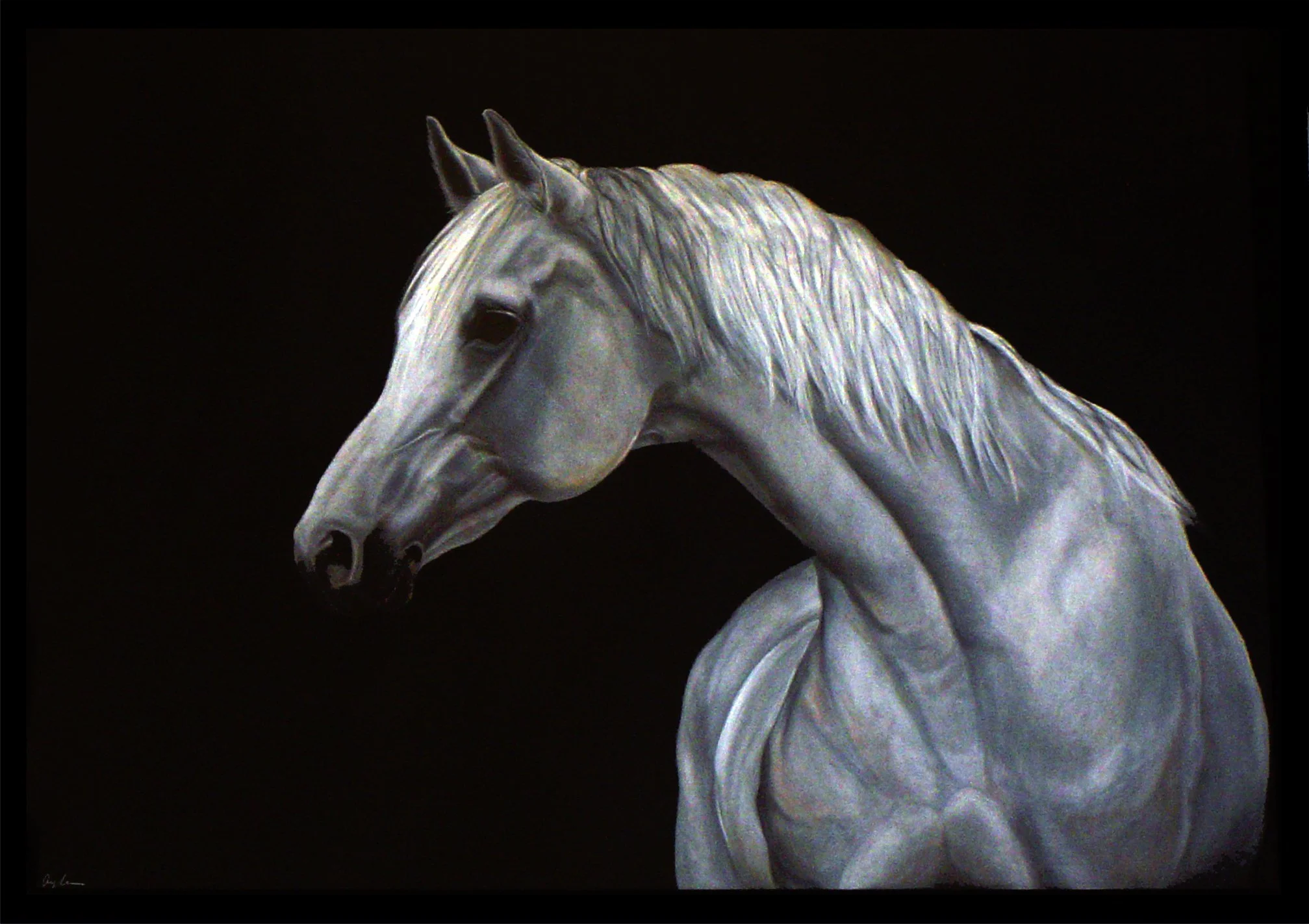 50 X 70cm-Pastel and coal on black paper 2005.jpg