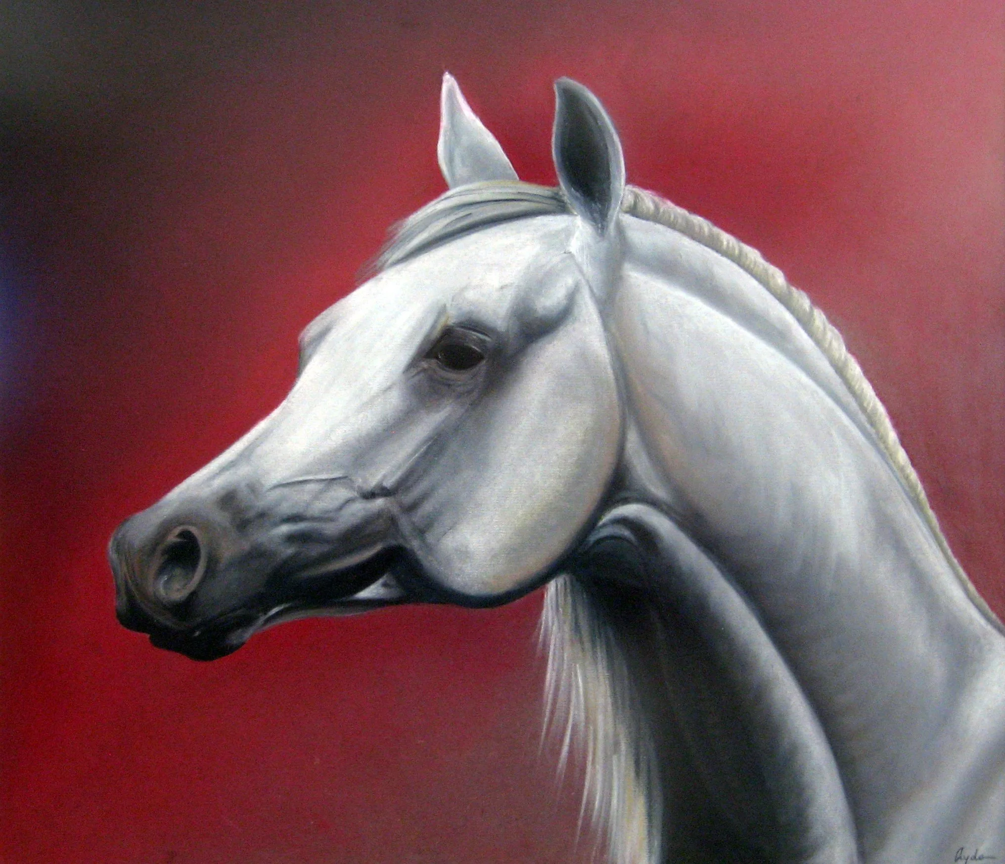 40 X 60cm-Pastel and coal on black paper 2005.jpg