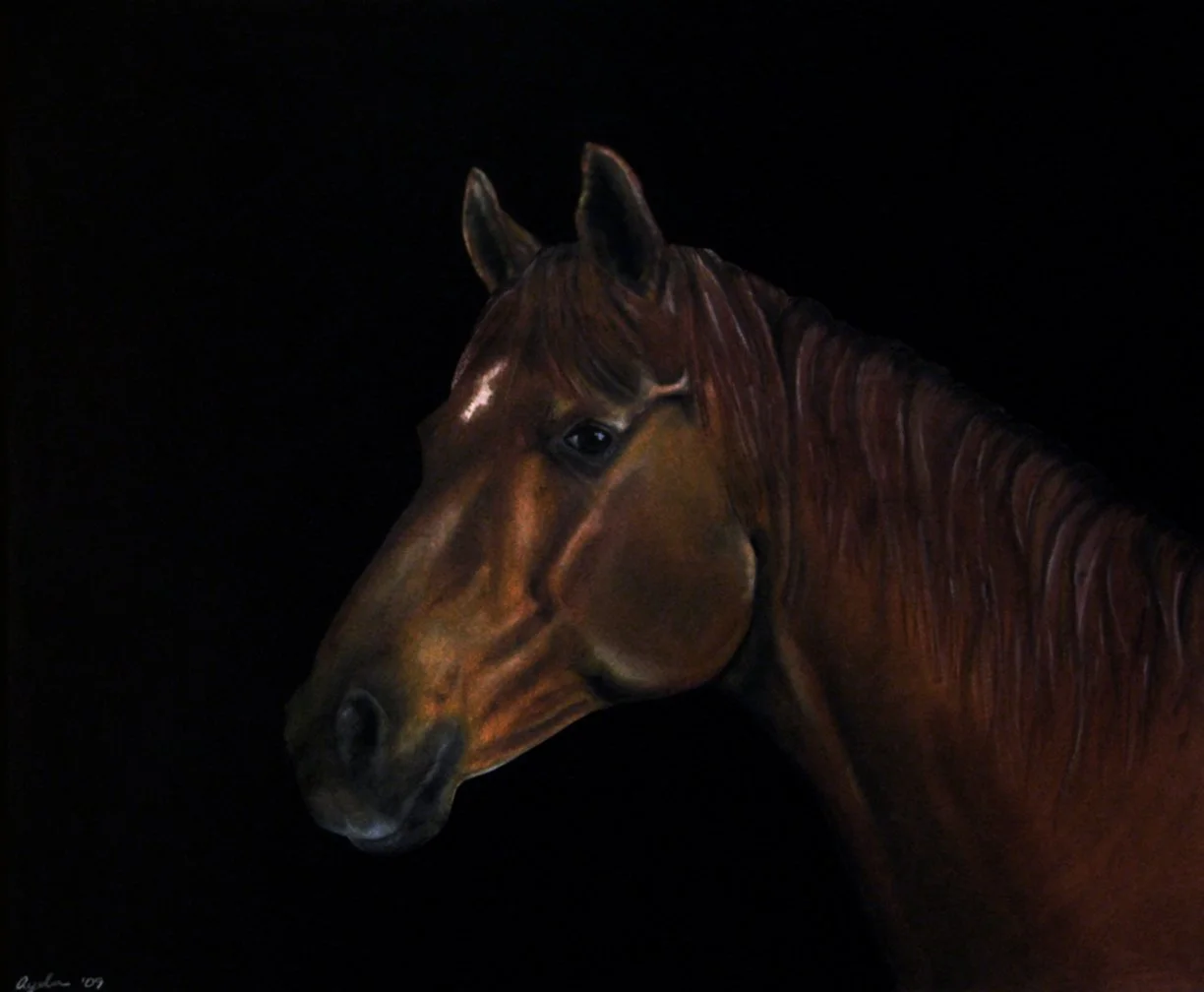 50x40cm_Ginger.jpg